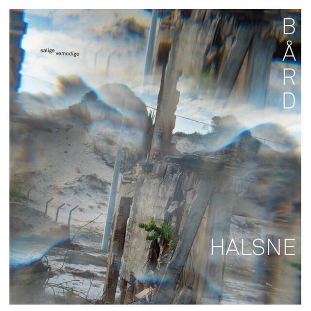Bård Halsne