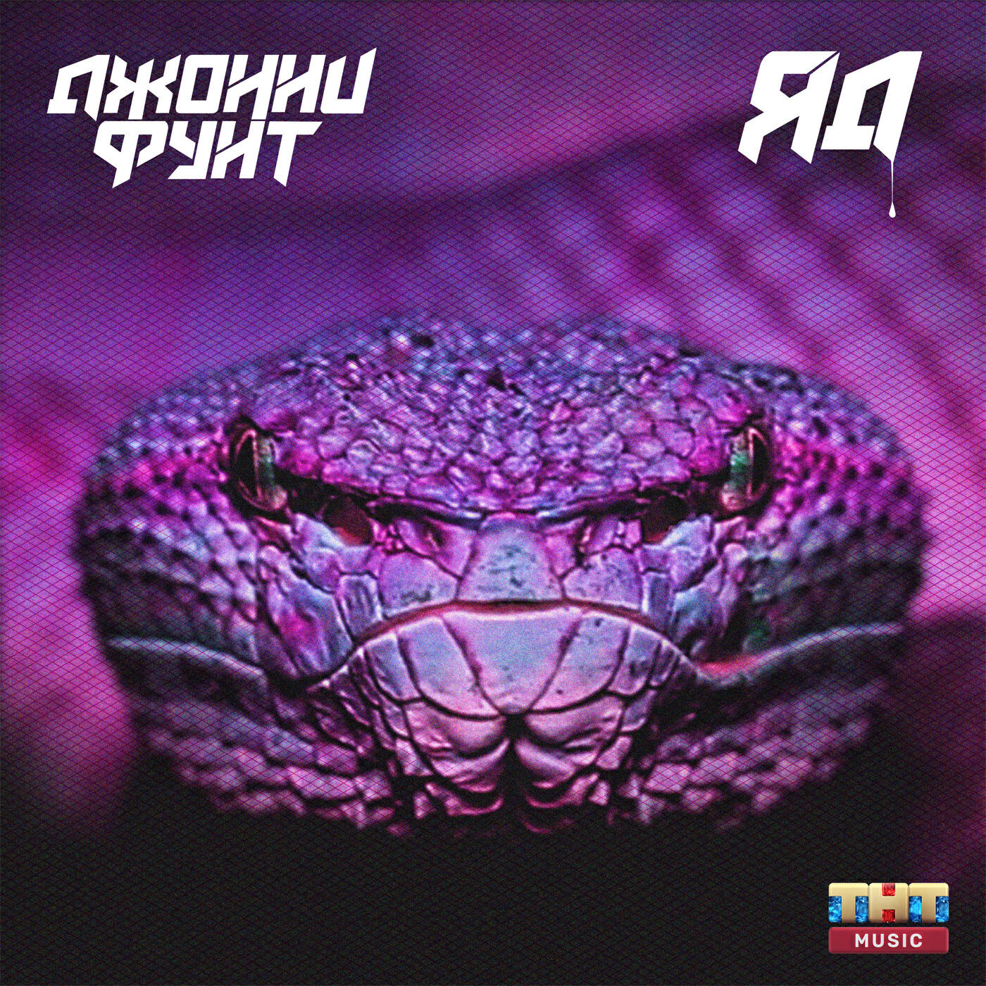 Постер альбома Яд