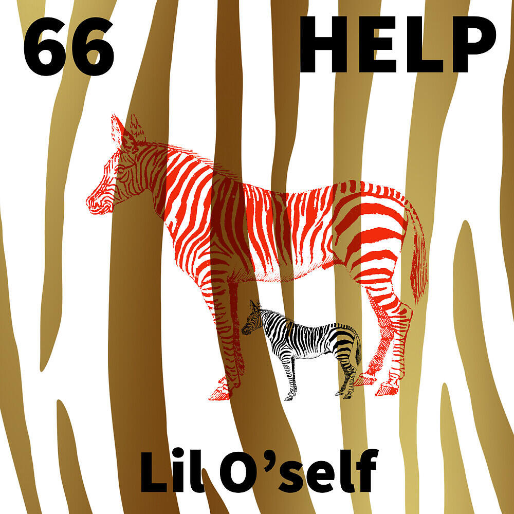 Релиз 66 Help