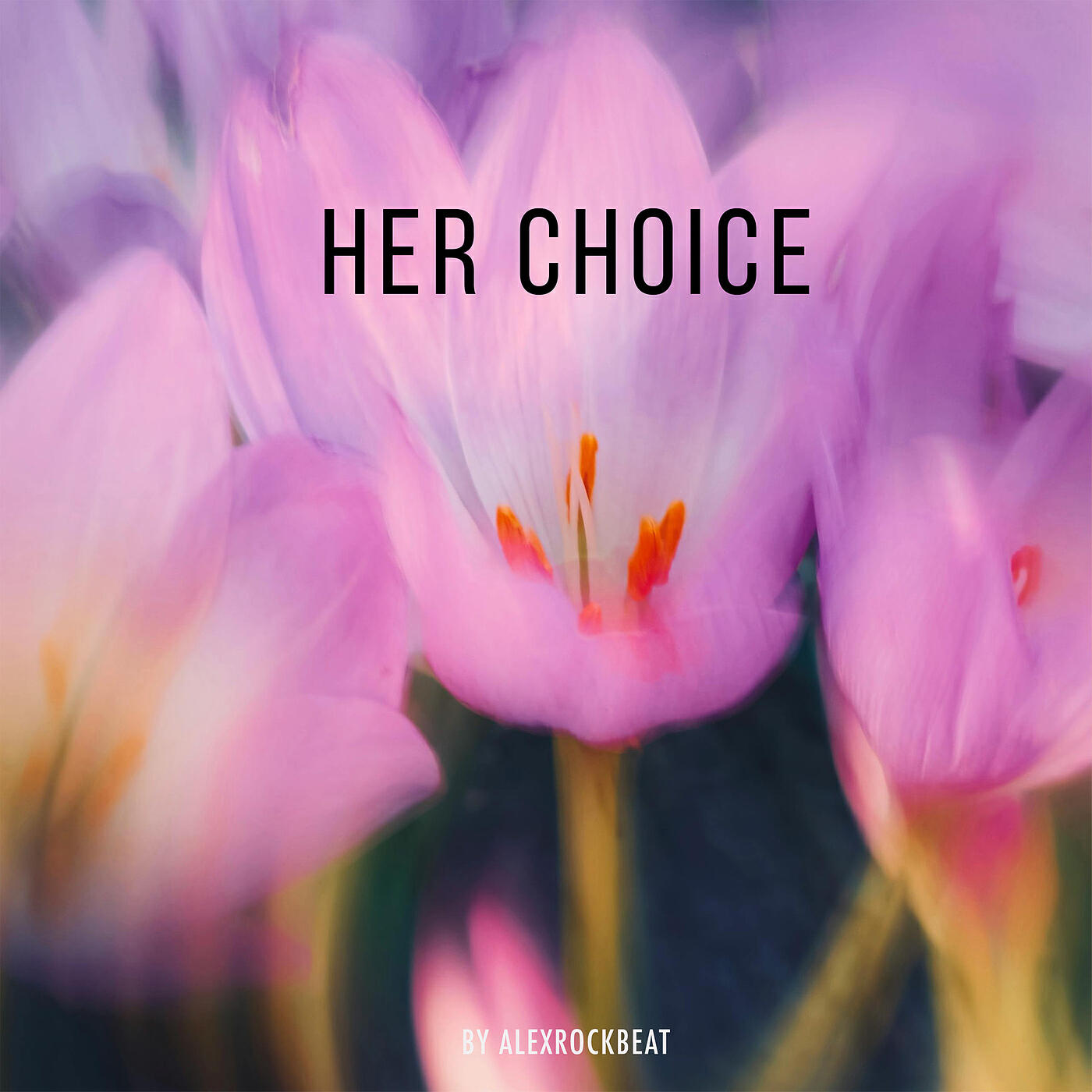 Релиз Her Choice
