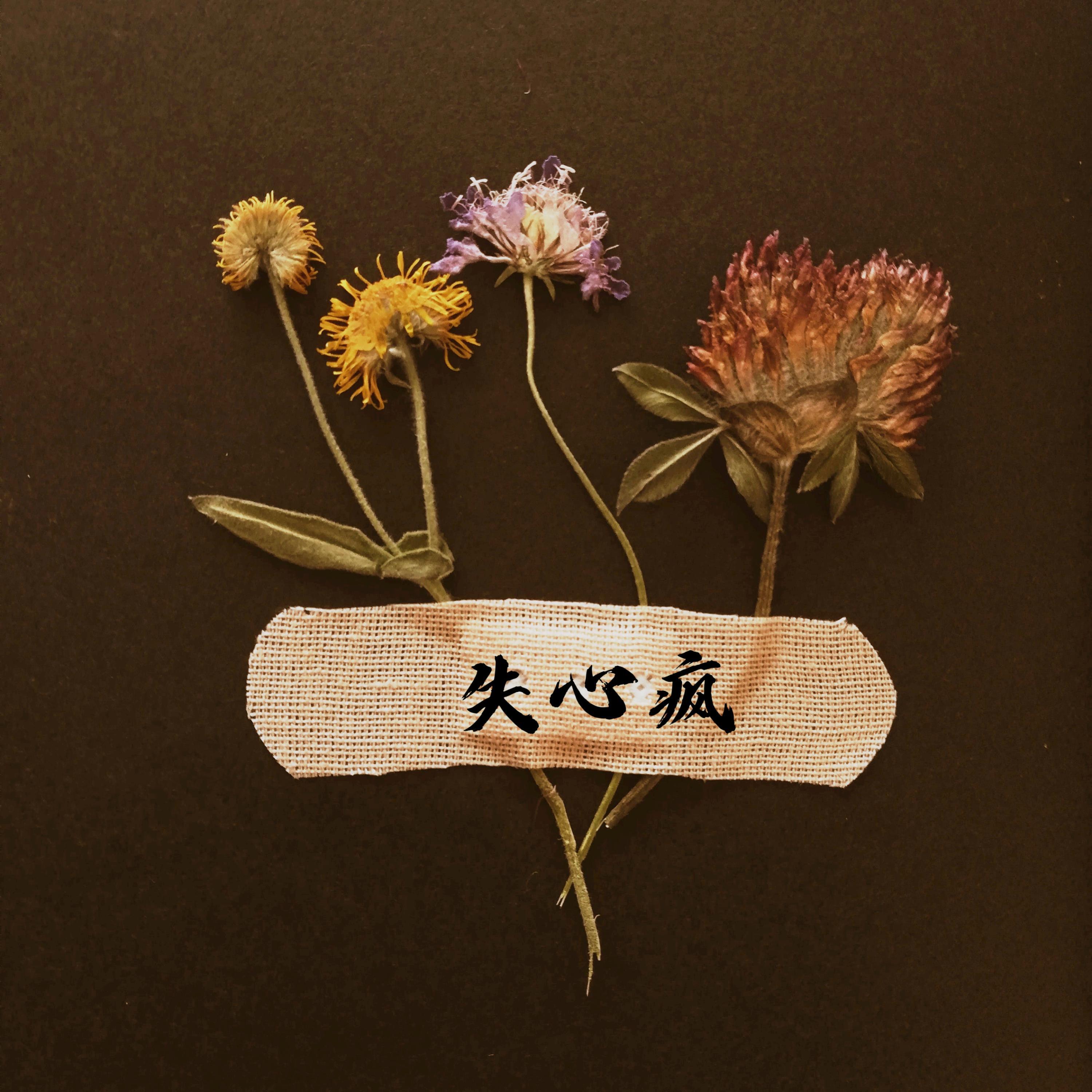 Релиз 失心疯