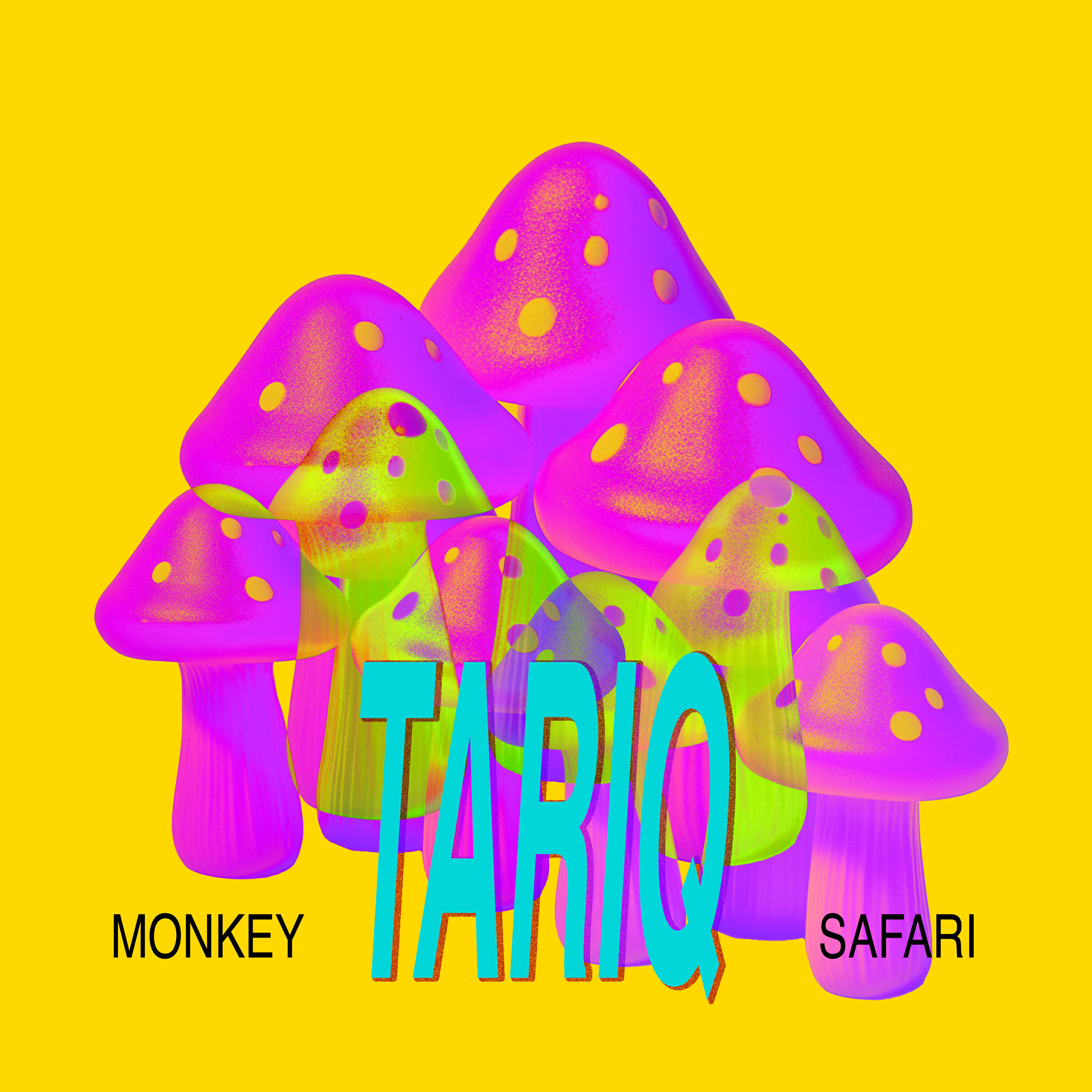 Релиз Tariq