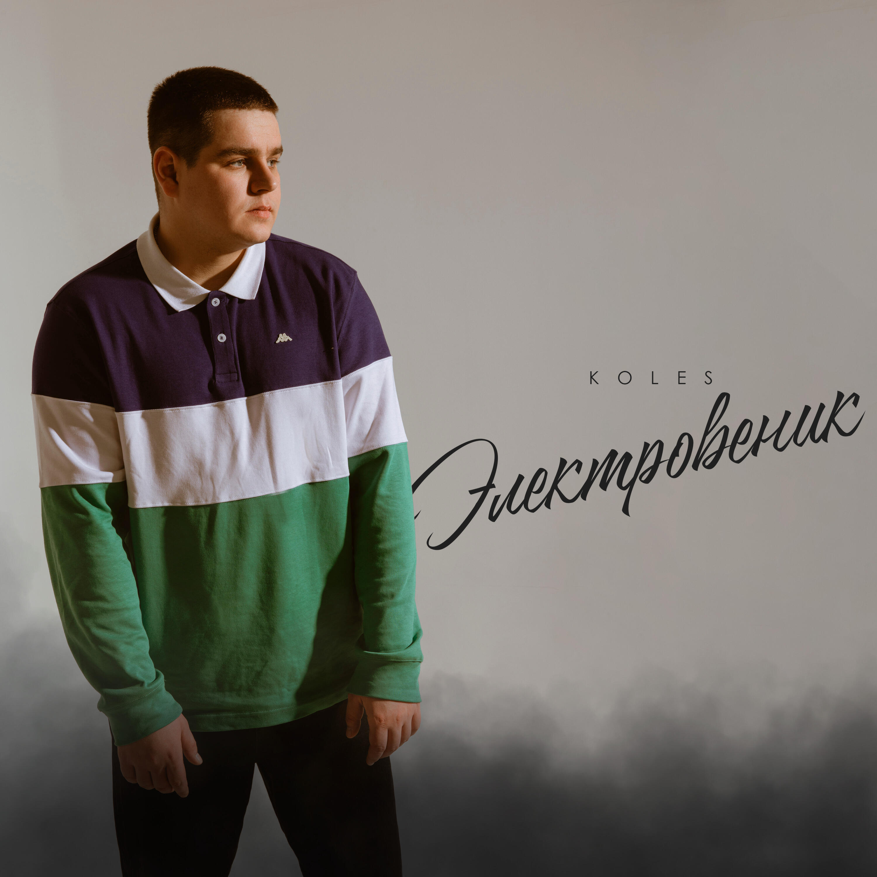 Релиз Электровеник