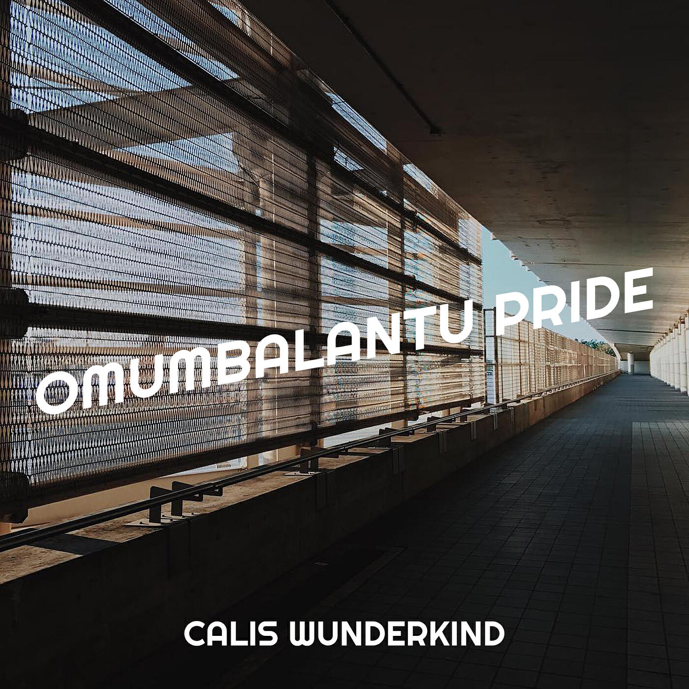 Релиз Omumbalantu Pride
