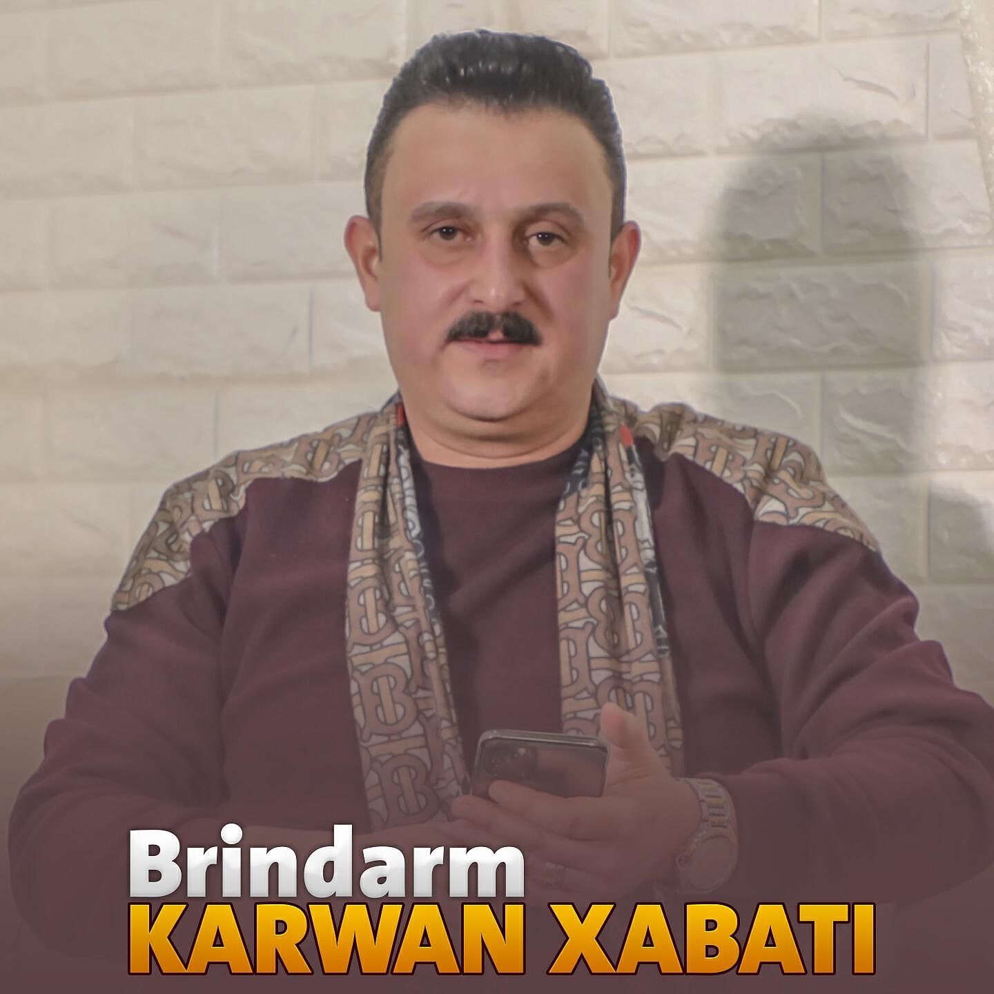 Постер альбома Brindarm