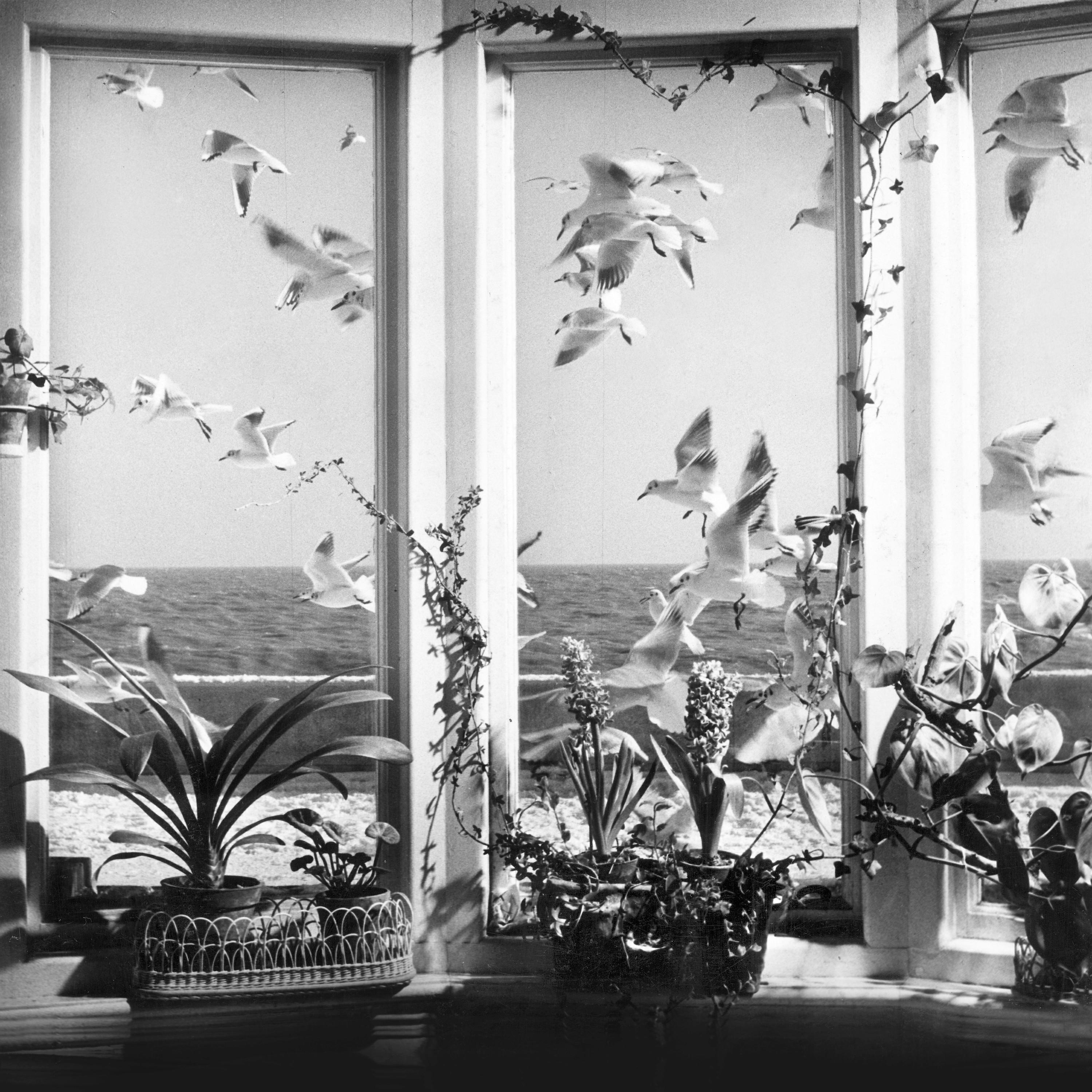 Alison Skidmore
