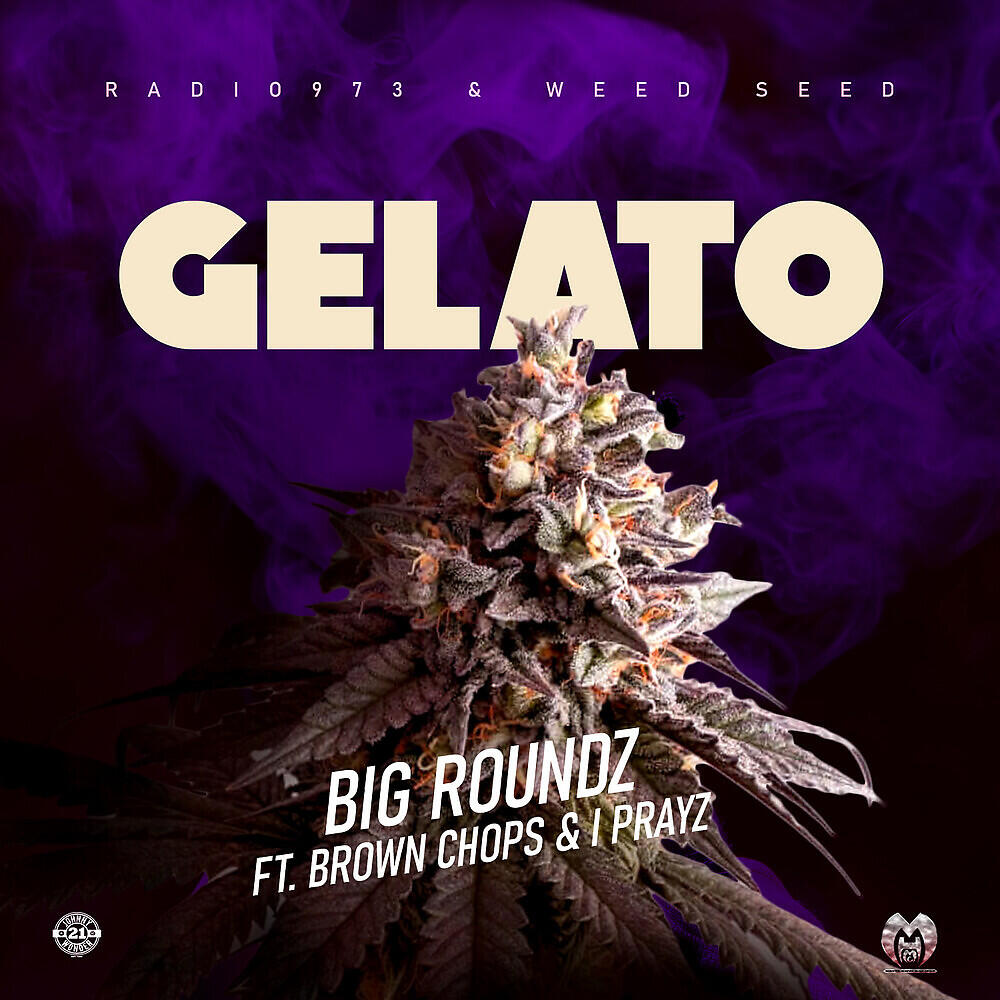 Релиз Gelato