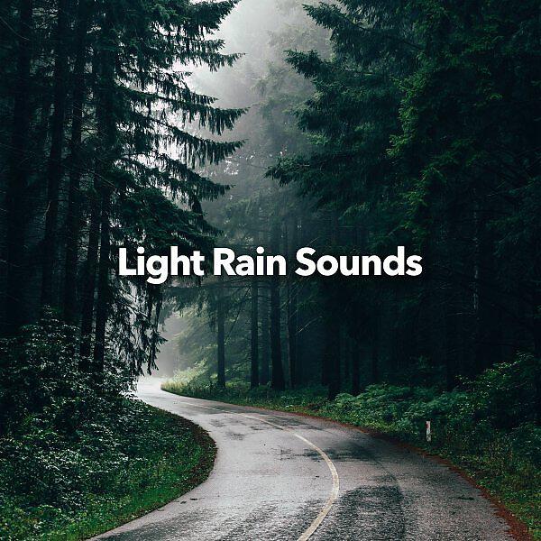 Релиз Light Rain Sounds