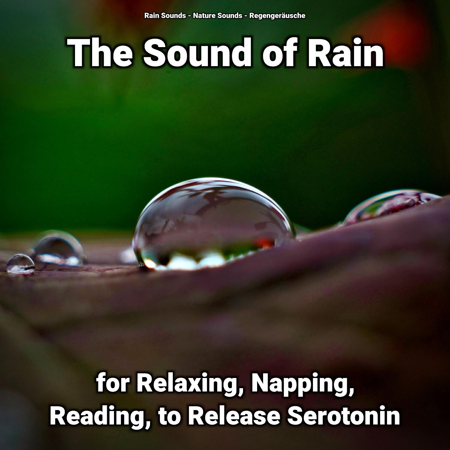 Релиз The Sound of Rain for Relaxing, Napping, Reading, to Release Serotonin