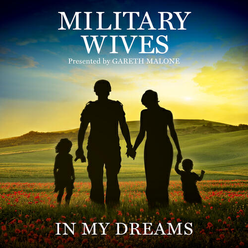 Релиз In My Dreams