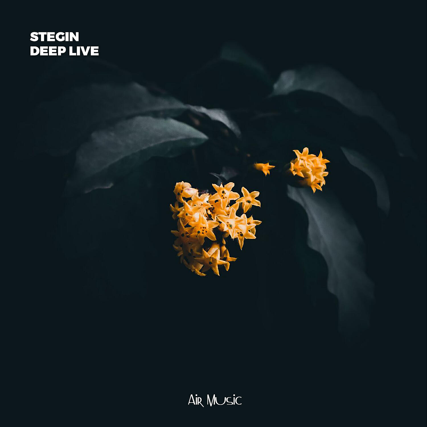 Релиз Deep Live