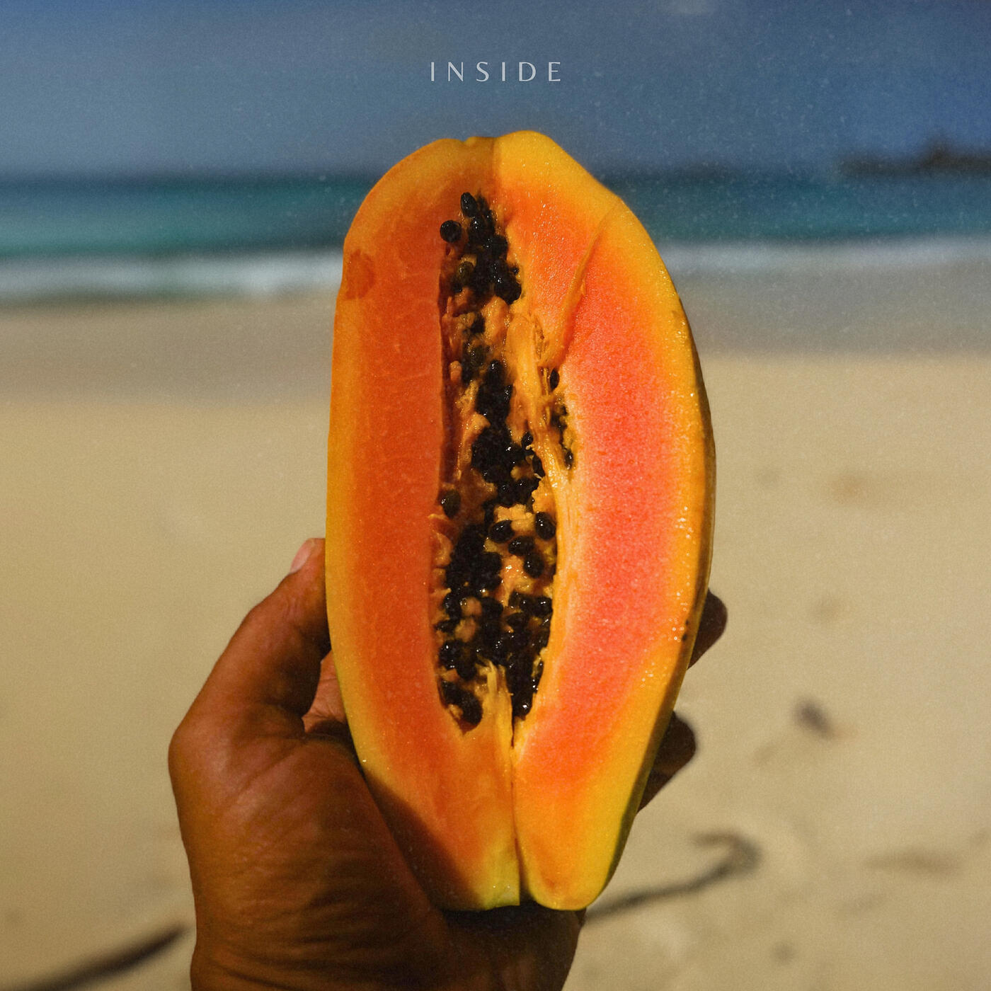 Релиз Inside