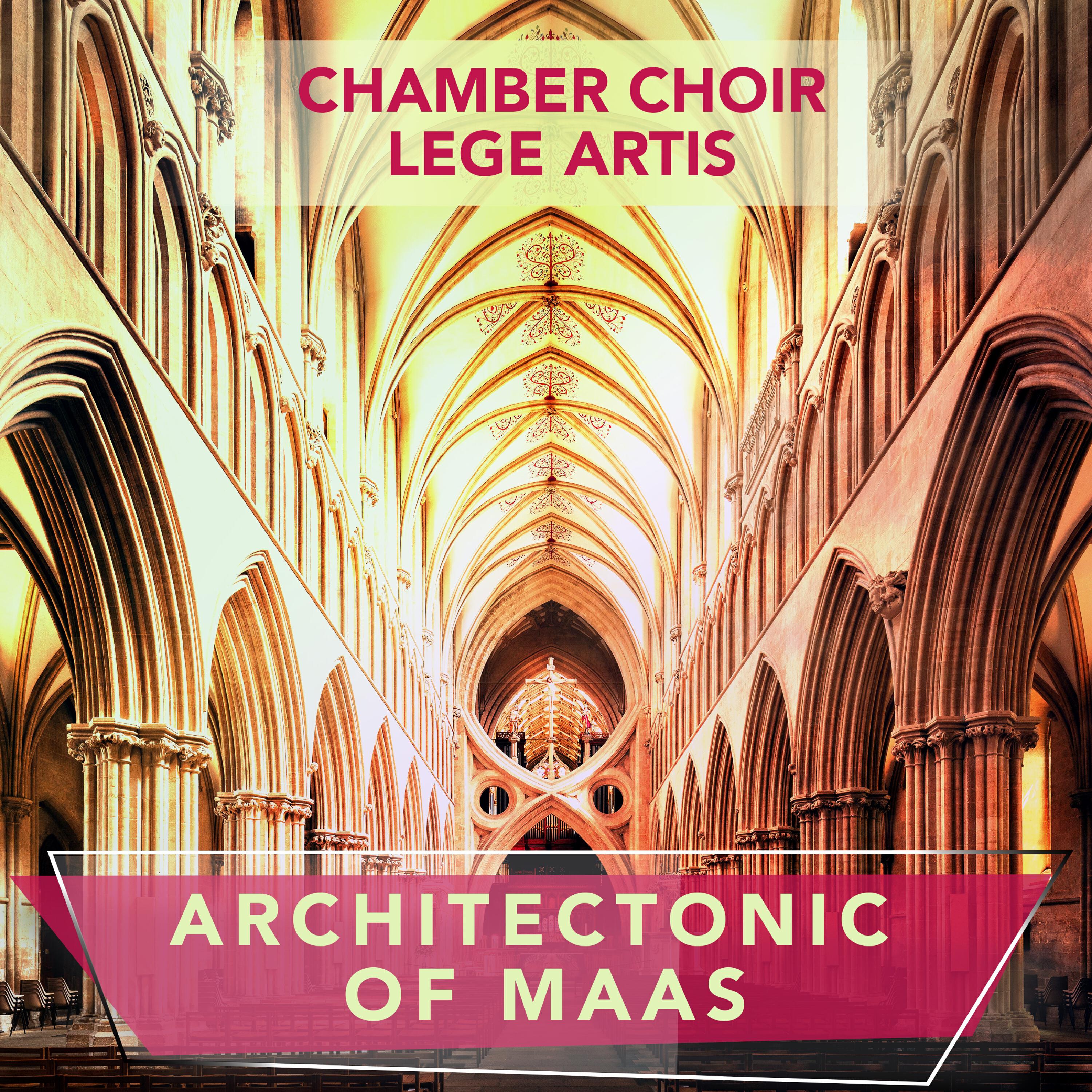 Релиз Architectonic of Maas