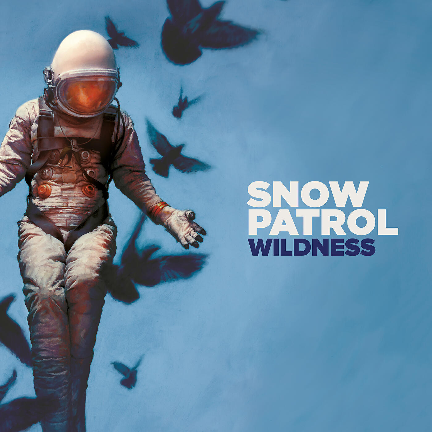 Релиз Wildness