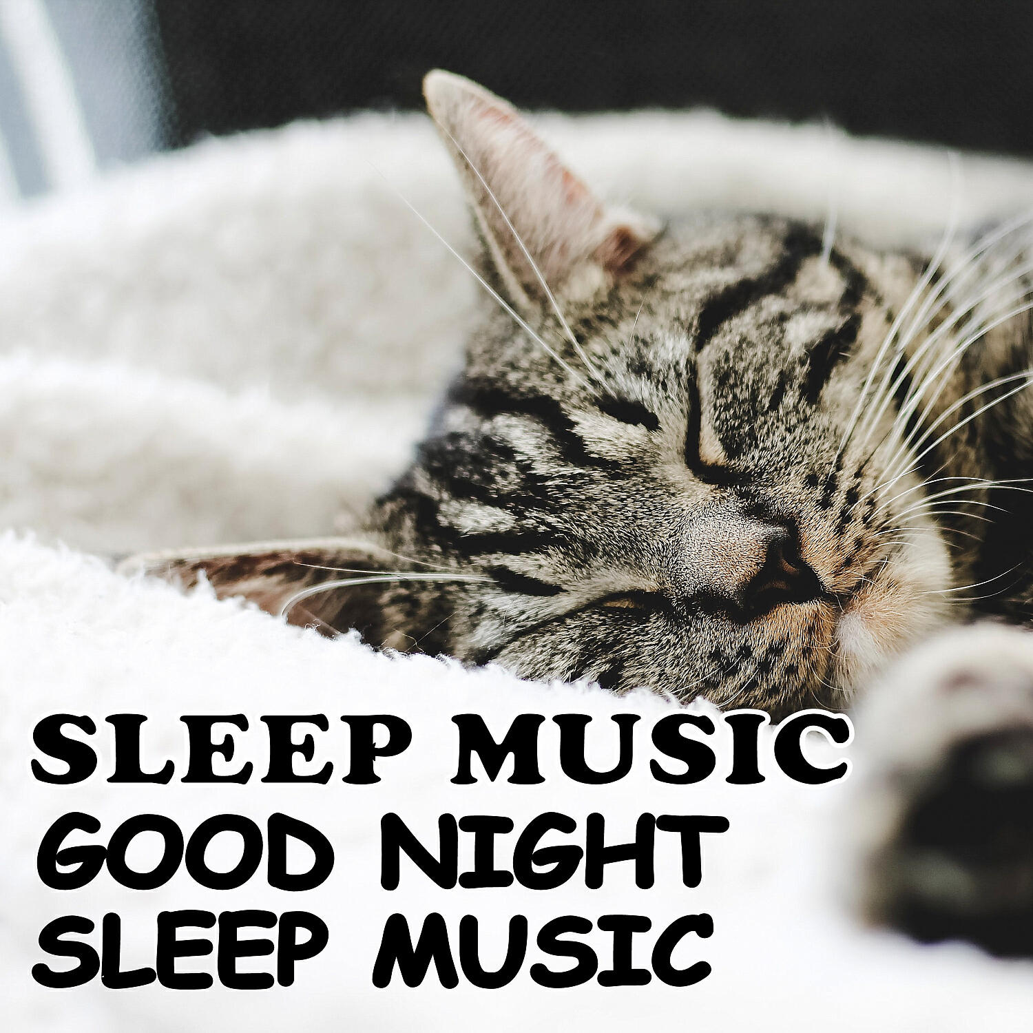 Постер альбома Sleep Music: Good Night Sleep Music