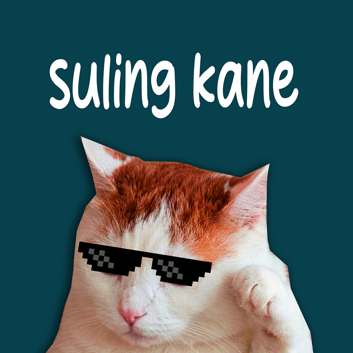 Релиз Suling Kane