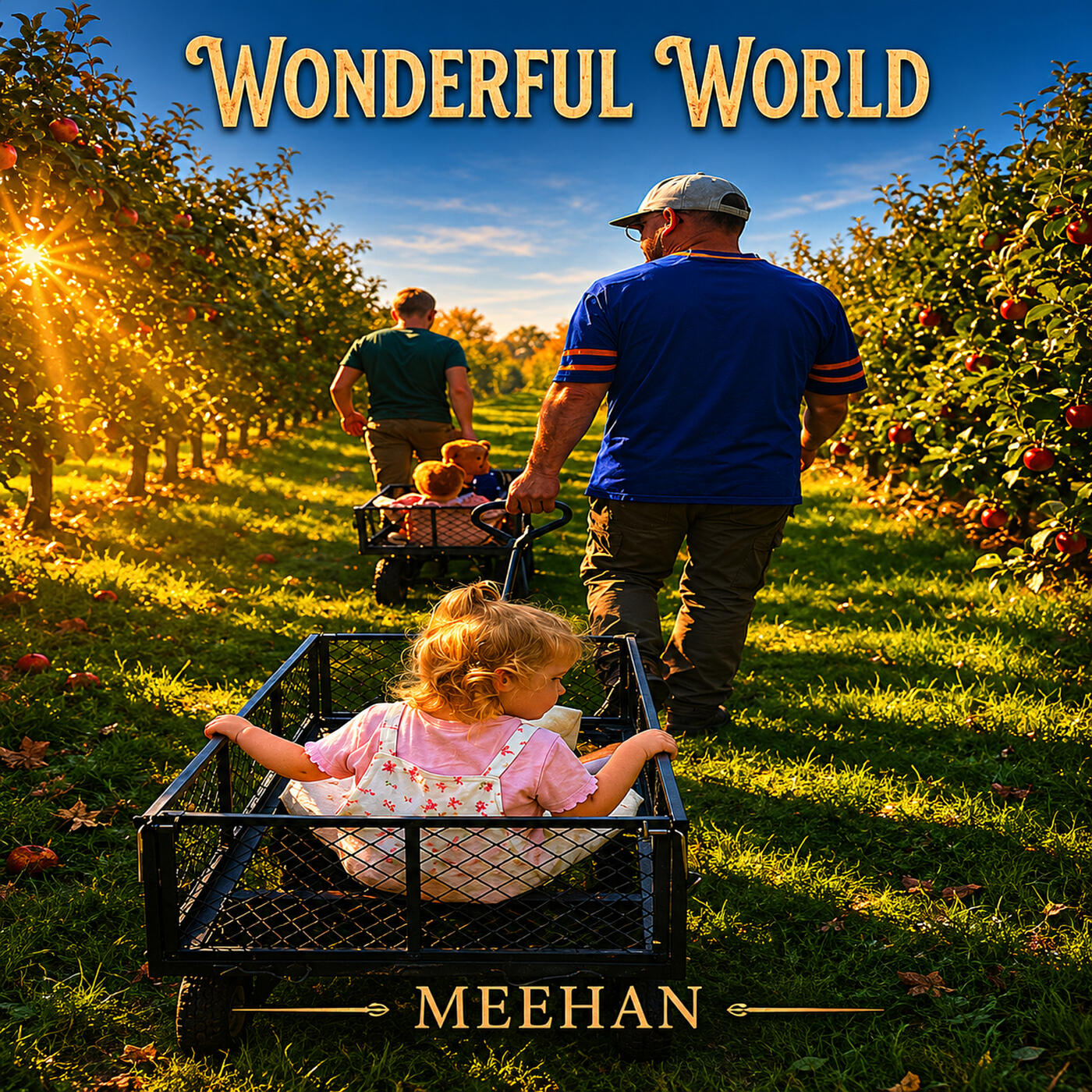 Релиз Wonderful World