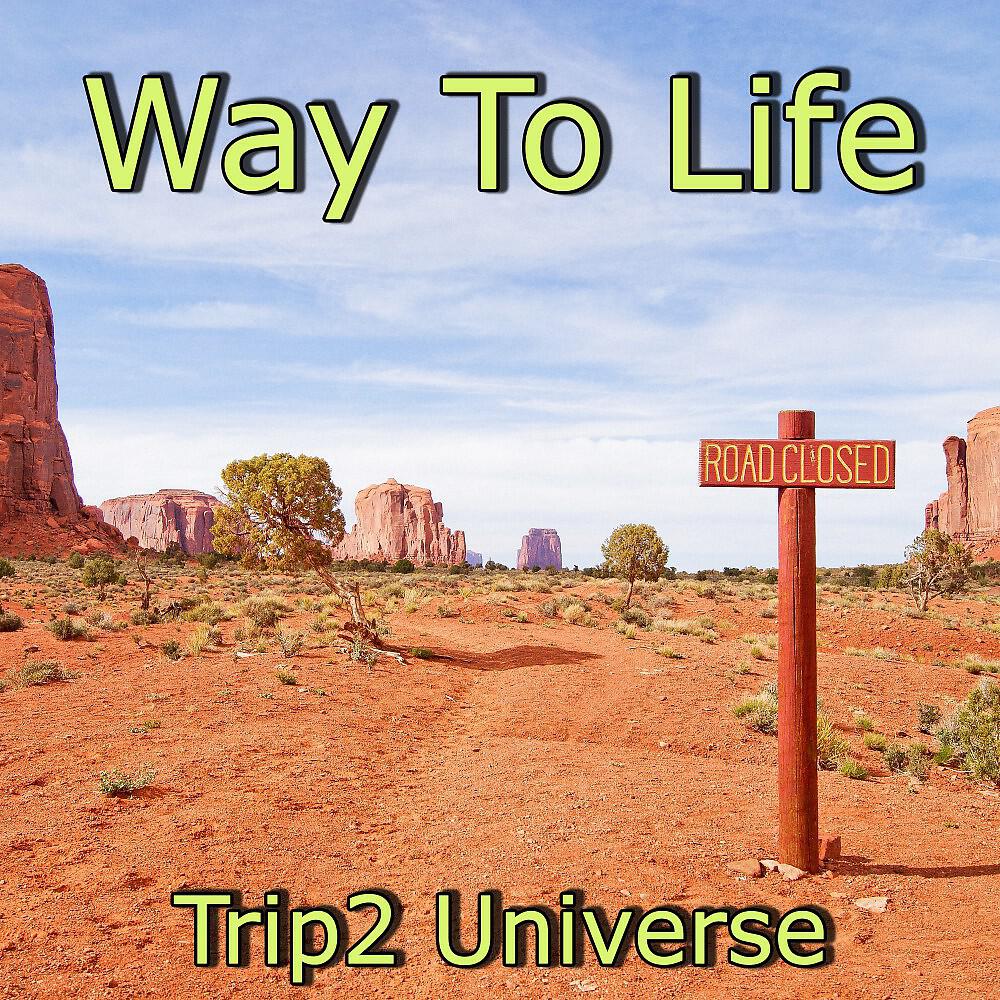 Релиз Way to Life