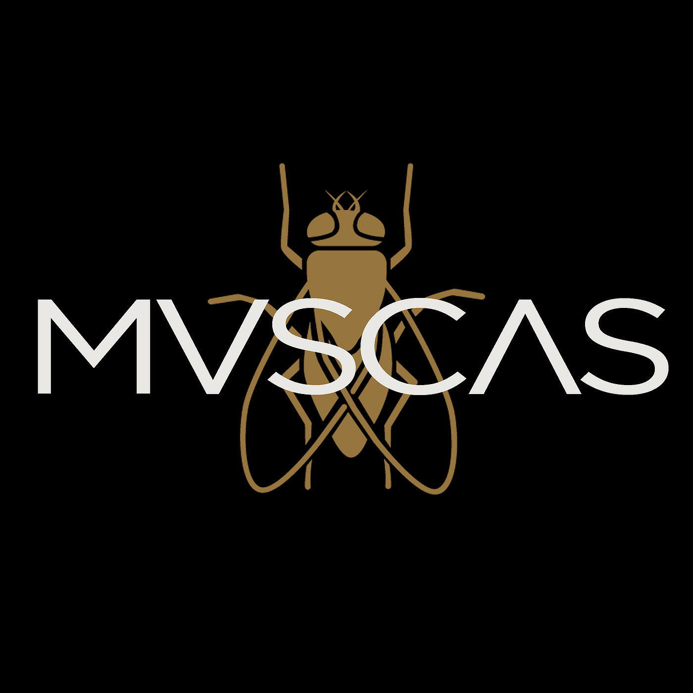 Релиз Mvscas