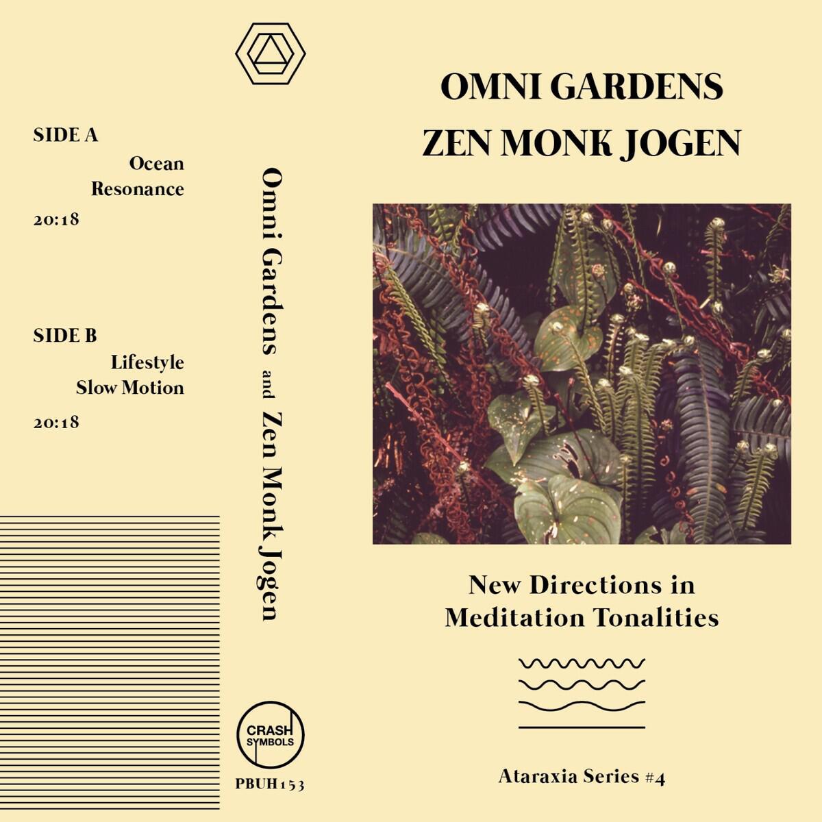 Релиз New Directions in Meditation Tonalities