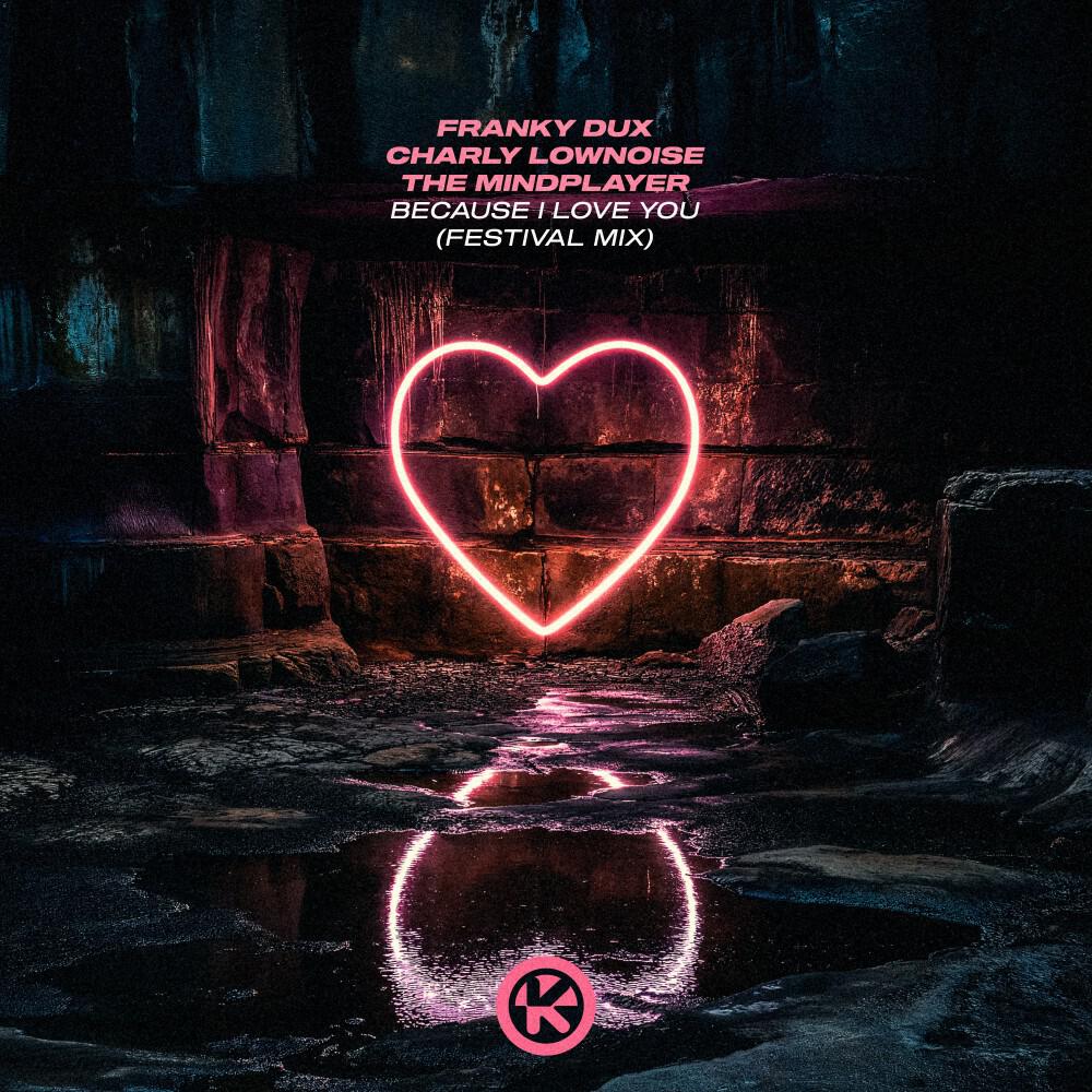 Релиз Because I Love You (Festival Mix)