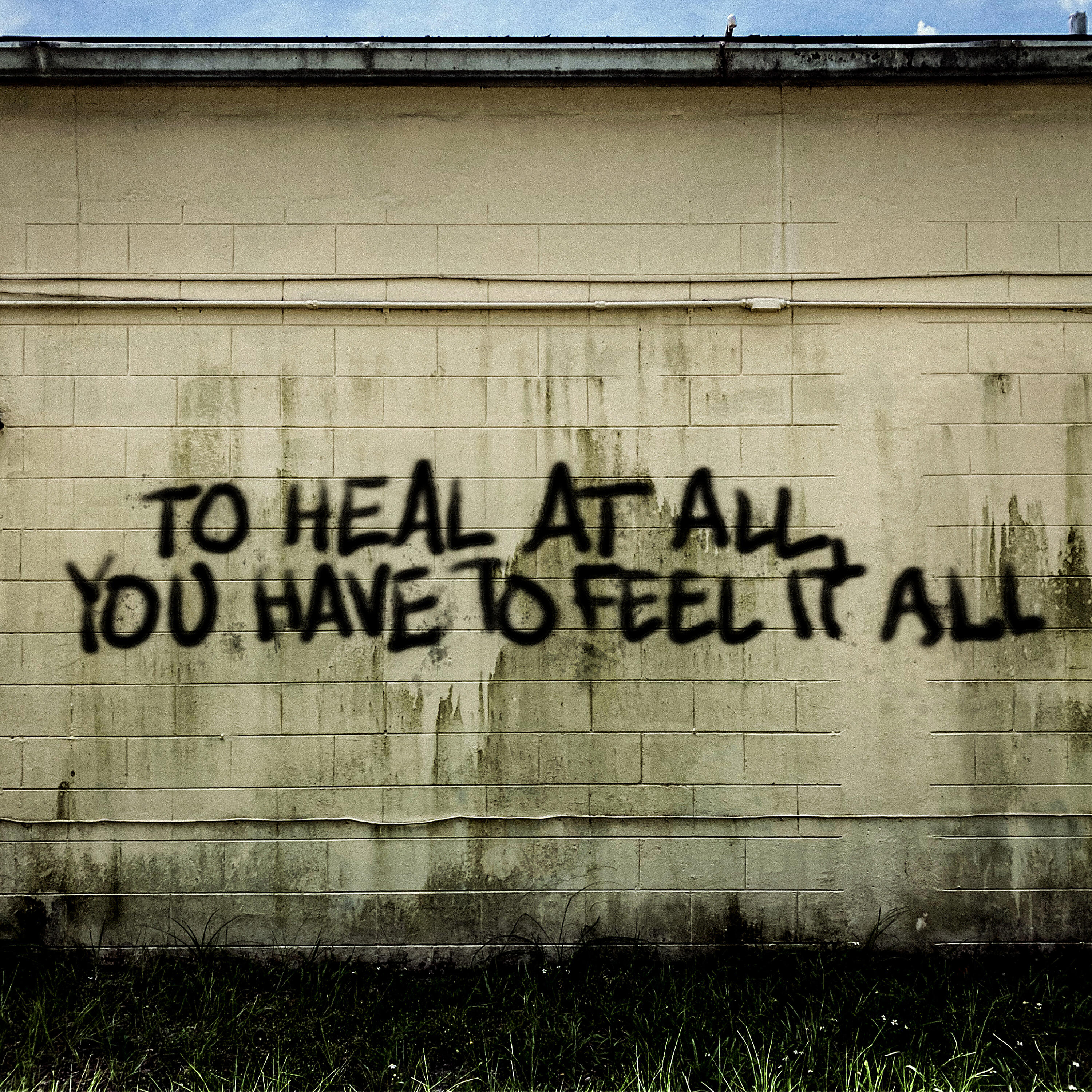 Релиз To Heal at All, You Have to Feel It All
