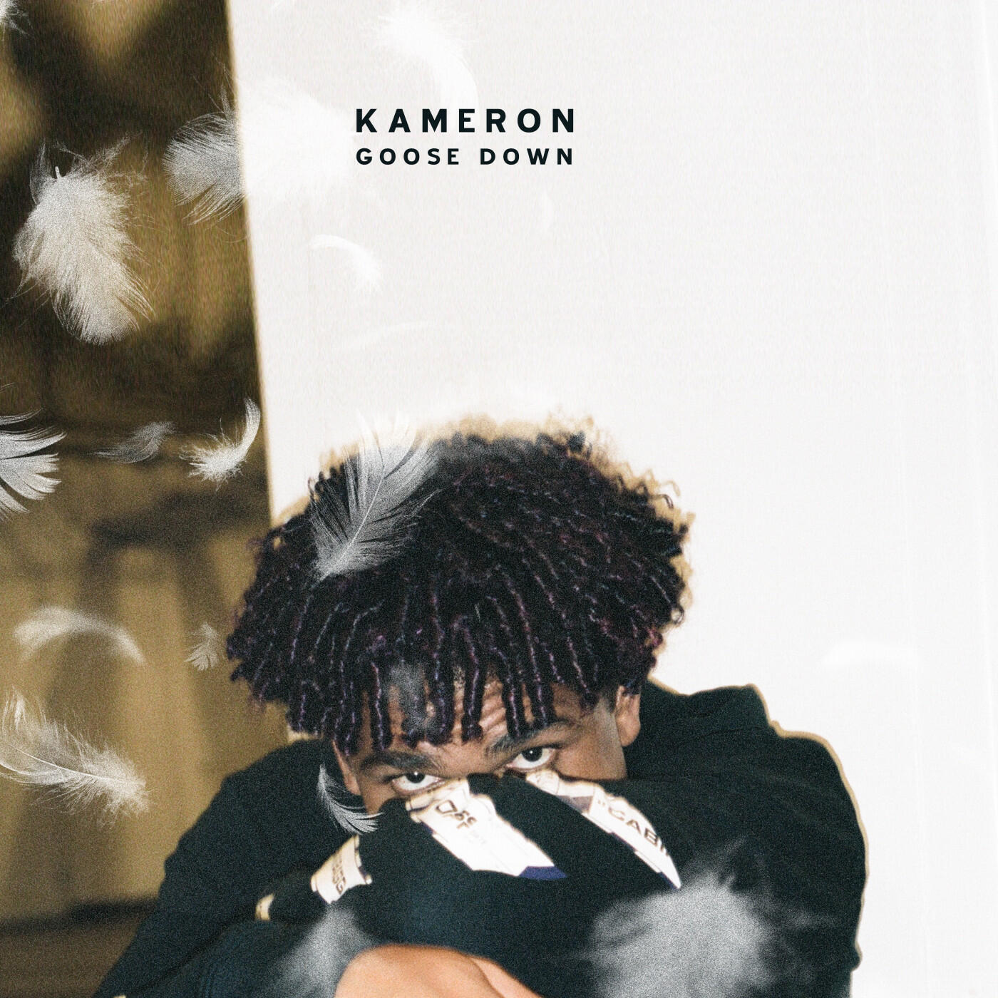 Релиз Goose Down