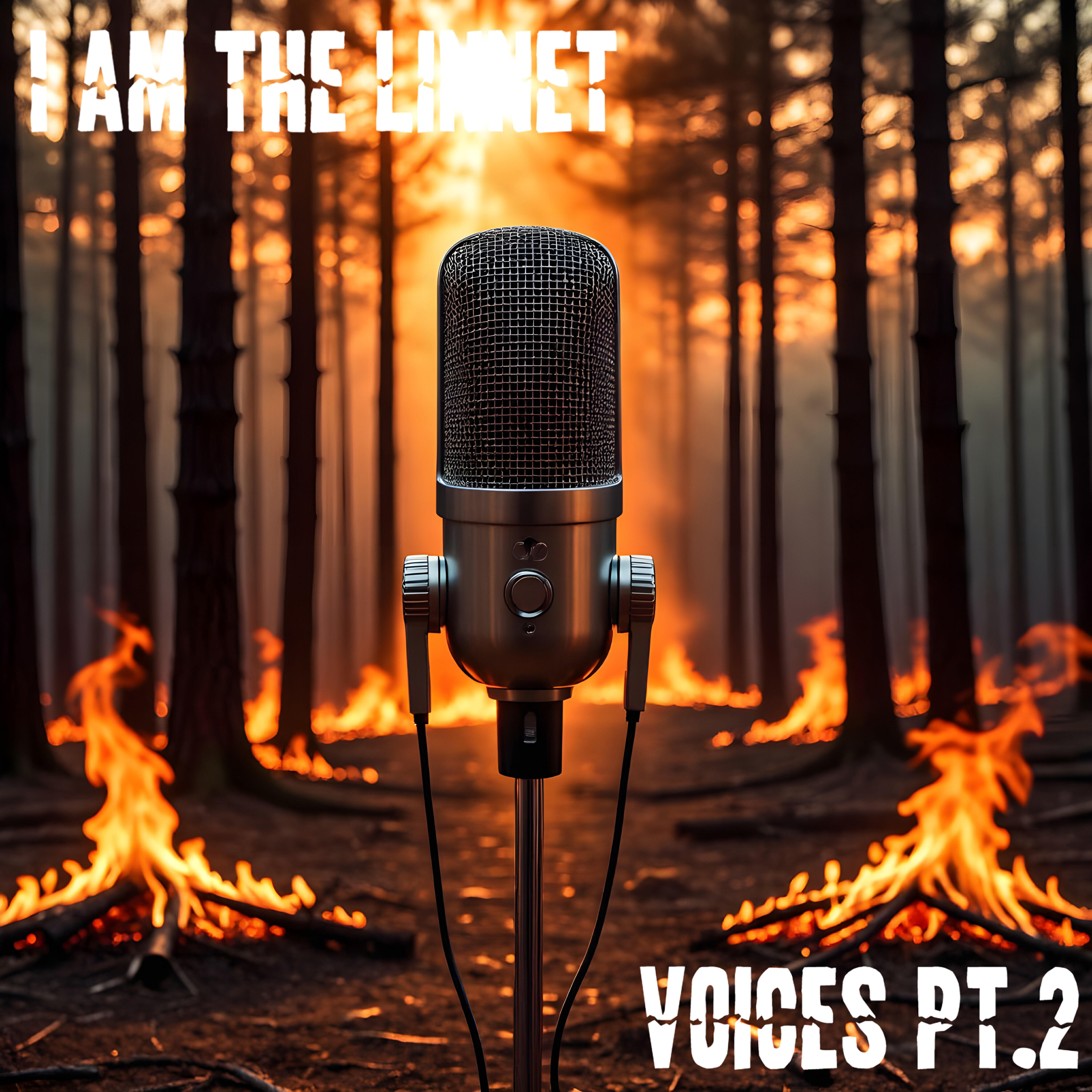 Релиз Voices, Pt.2