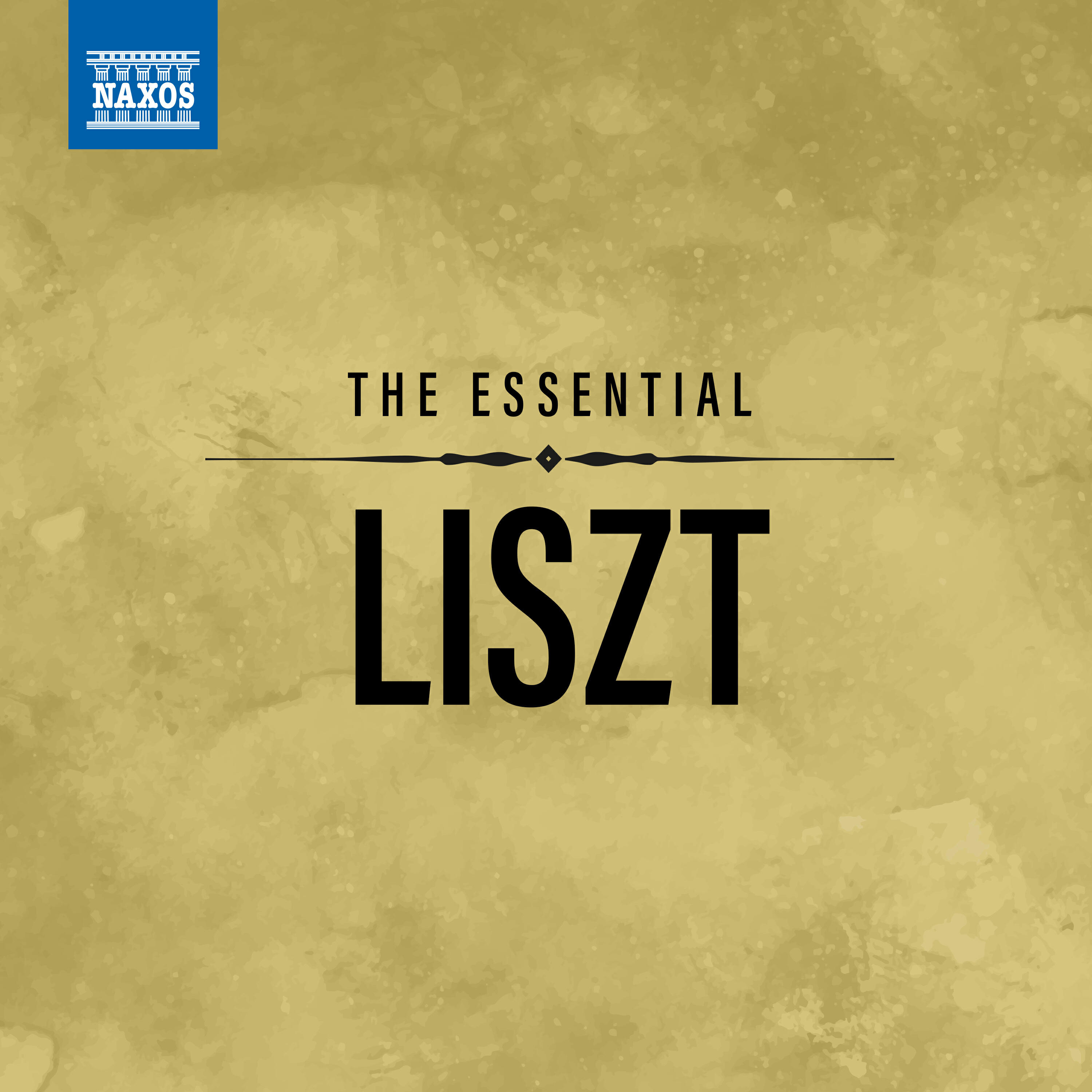 Franz Liszt Academy of Music Orchestra