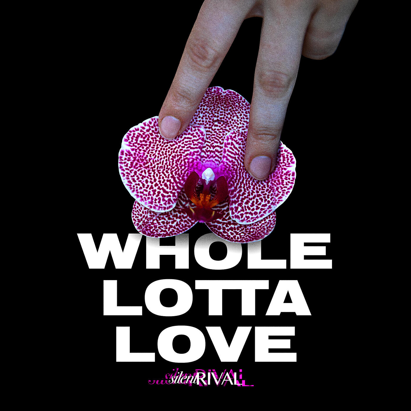 Релиз Whole Lotta Love