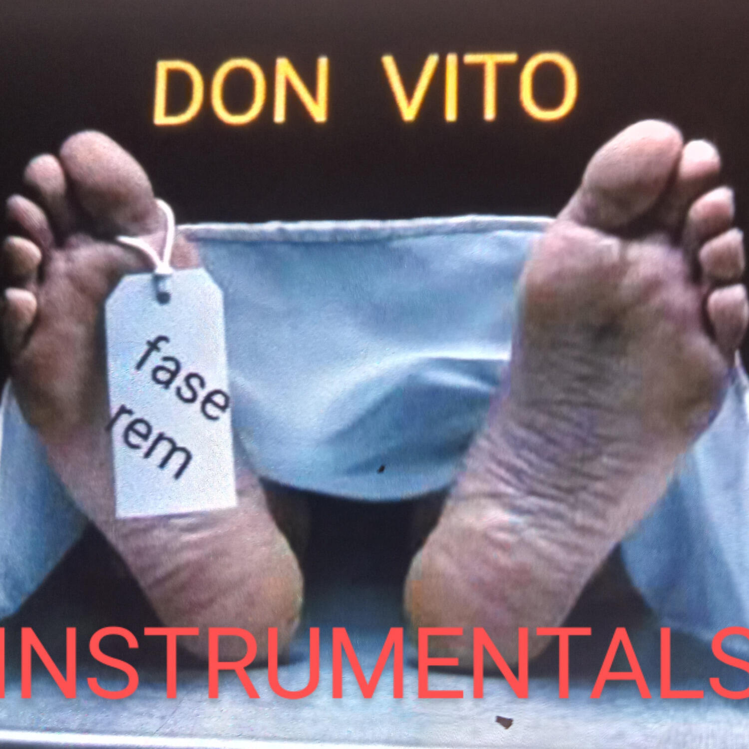 Релиз Fase Rem (INSTRUMENTALS)