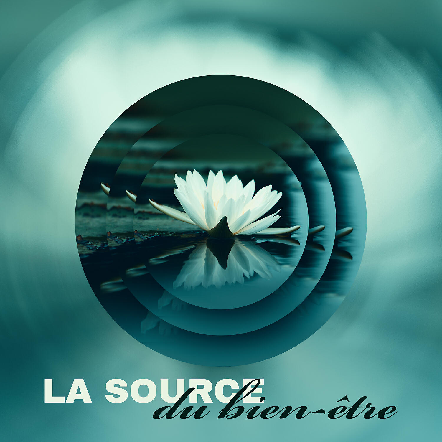 Релиз La source du bien-être: Découvrez le yoga tous les jours