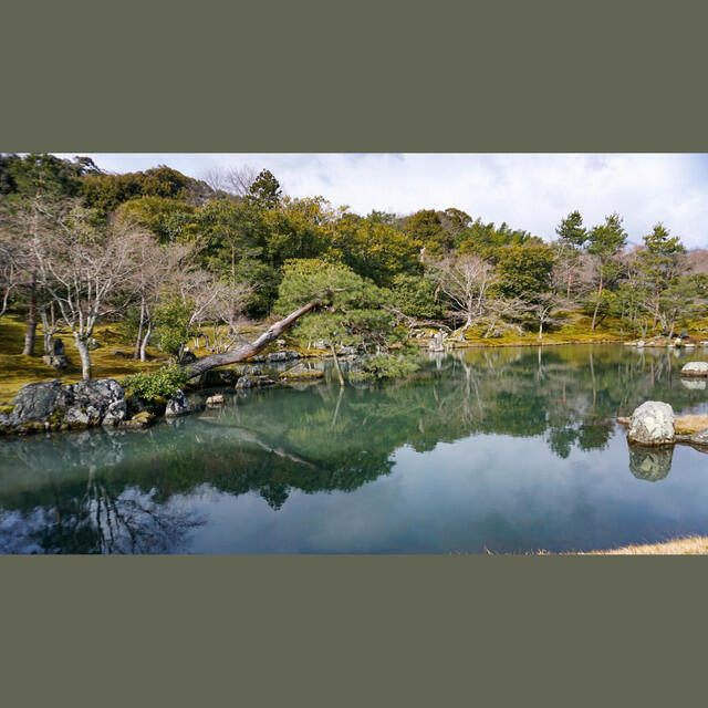 Релиз Falling from the Sky