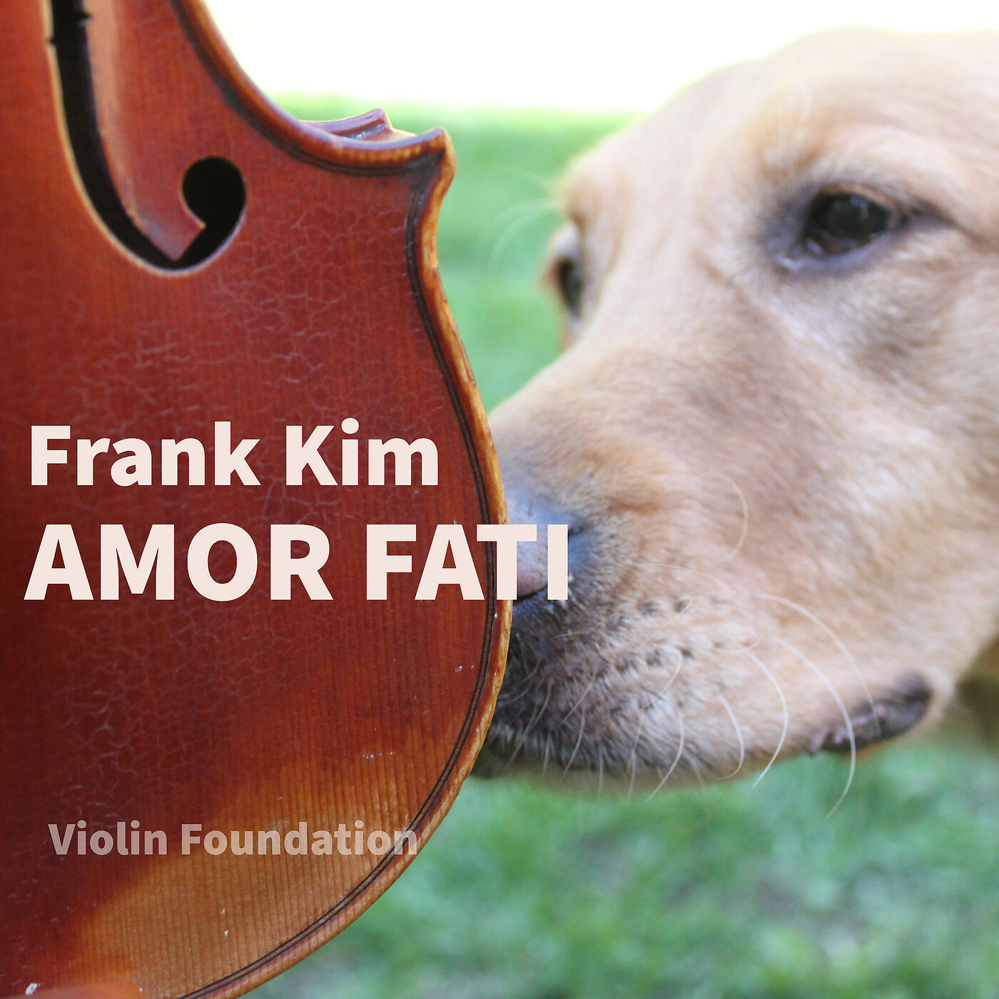 Релиз Amor Fati