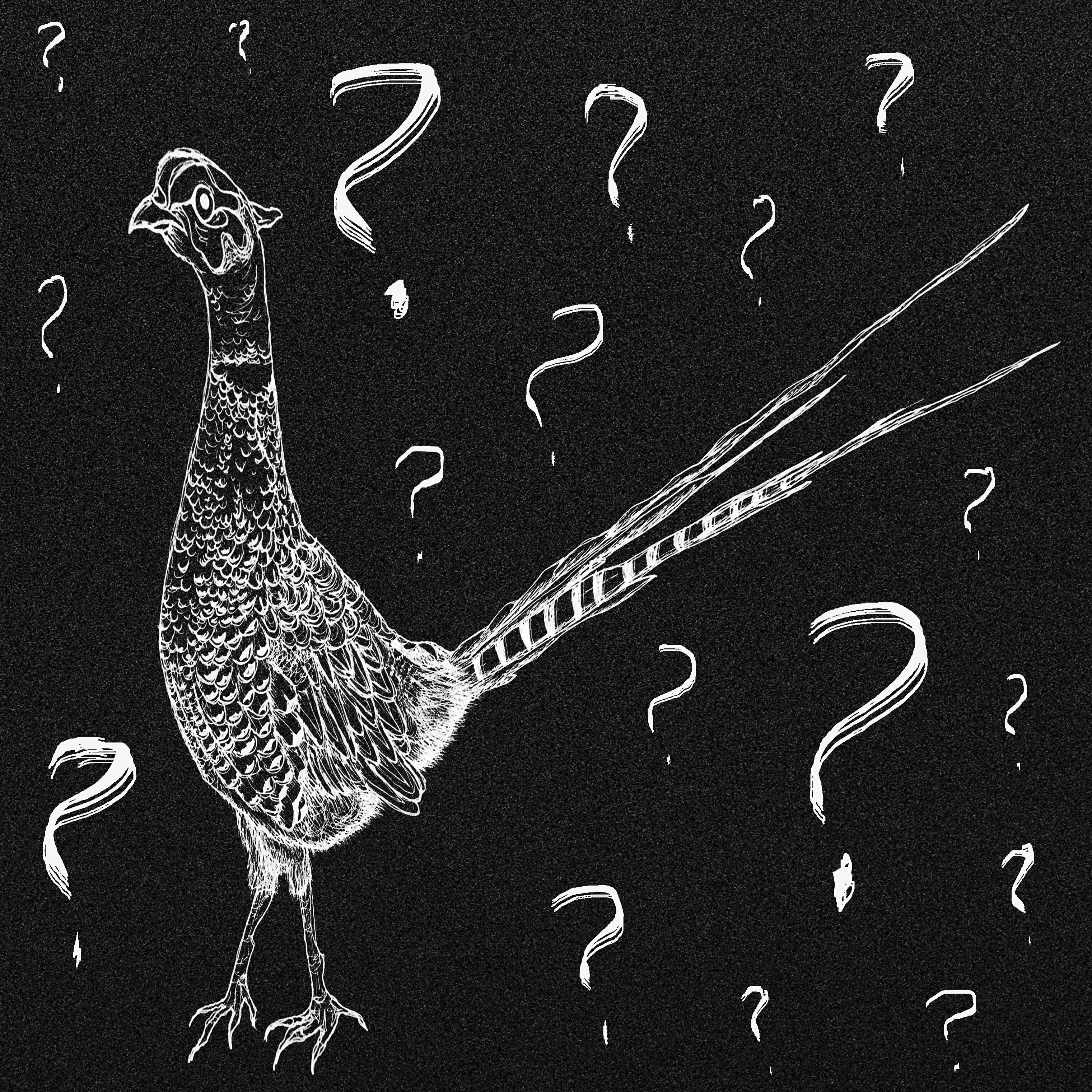 Релиз Чб радуга