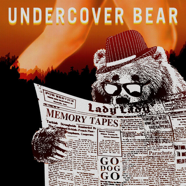 Undercover Bear