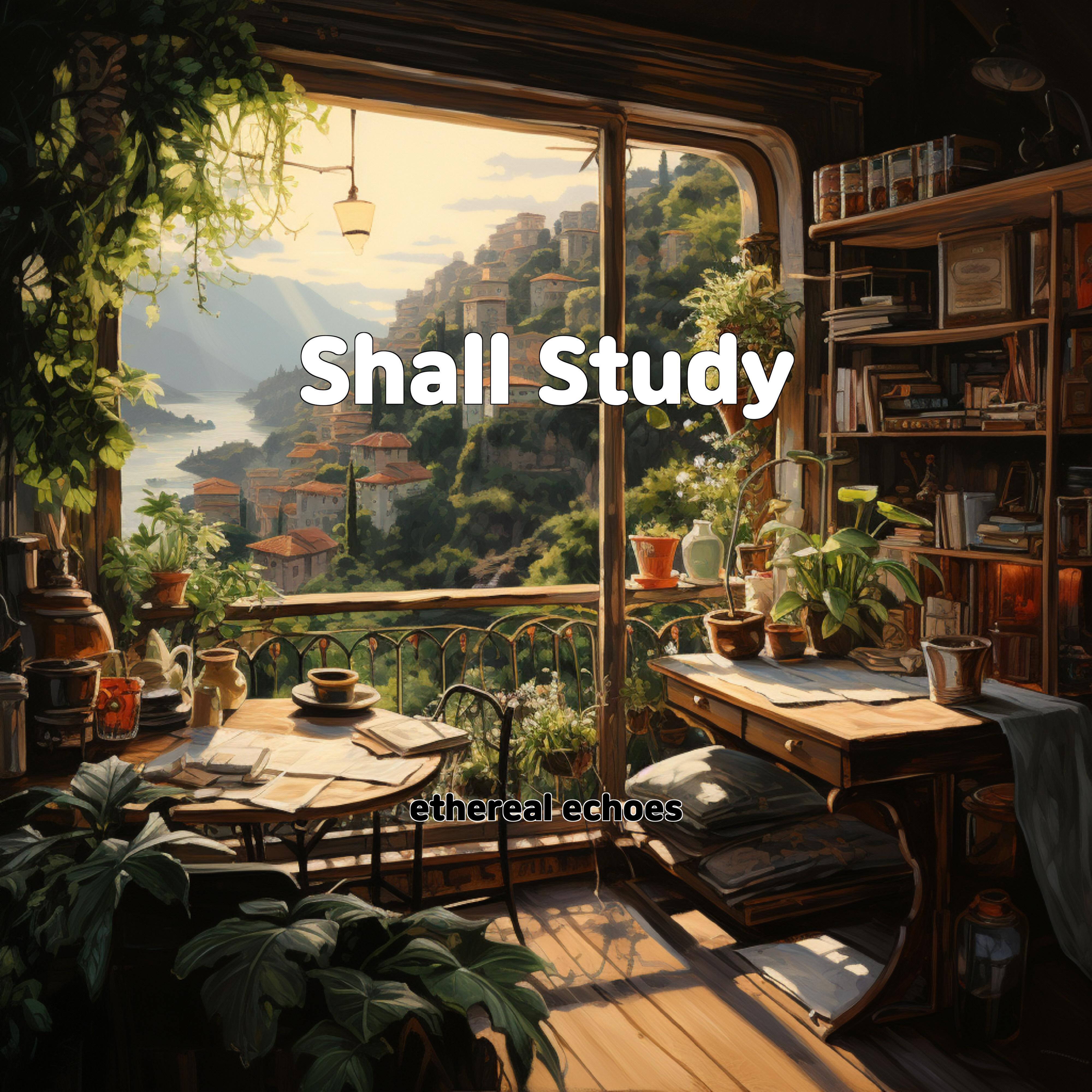 Релиз Shall Study