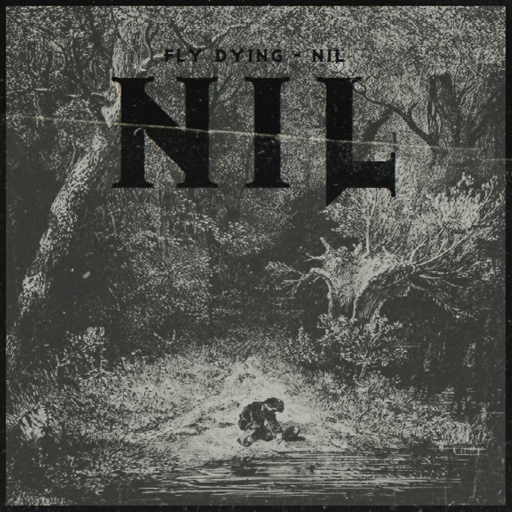Релиз Nil
