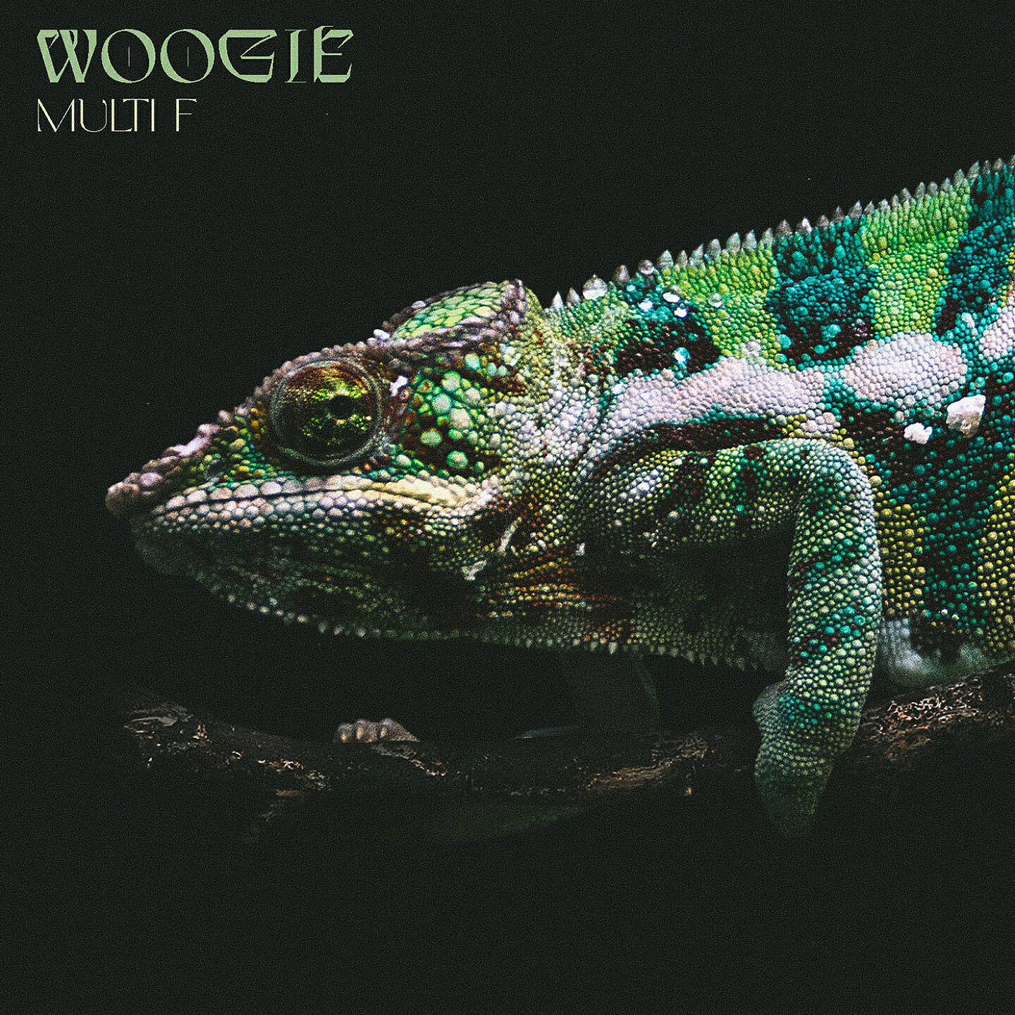Скачать песню Woogie, Dolorain - Gretchen (Woogie Remix) бесплатно в MP3 для Android и iOS