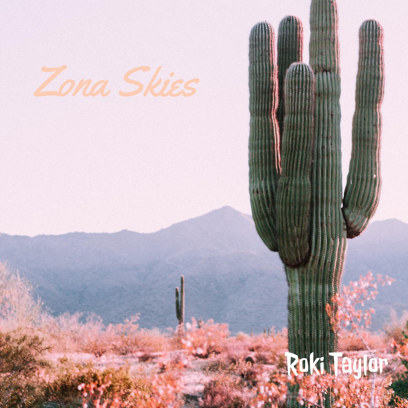 Релиз Zona Skies