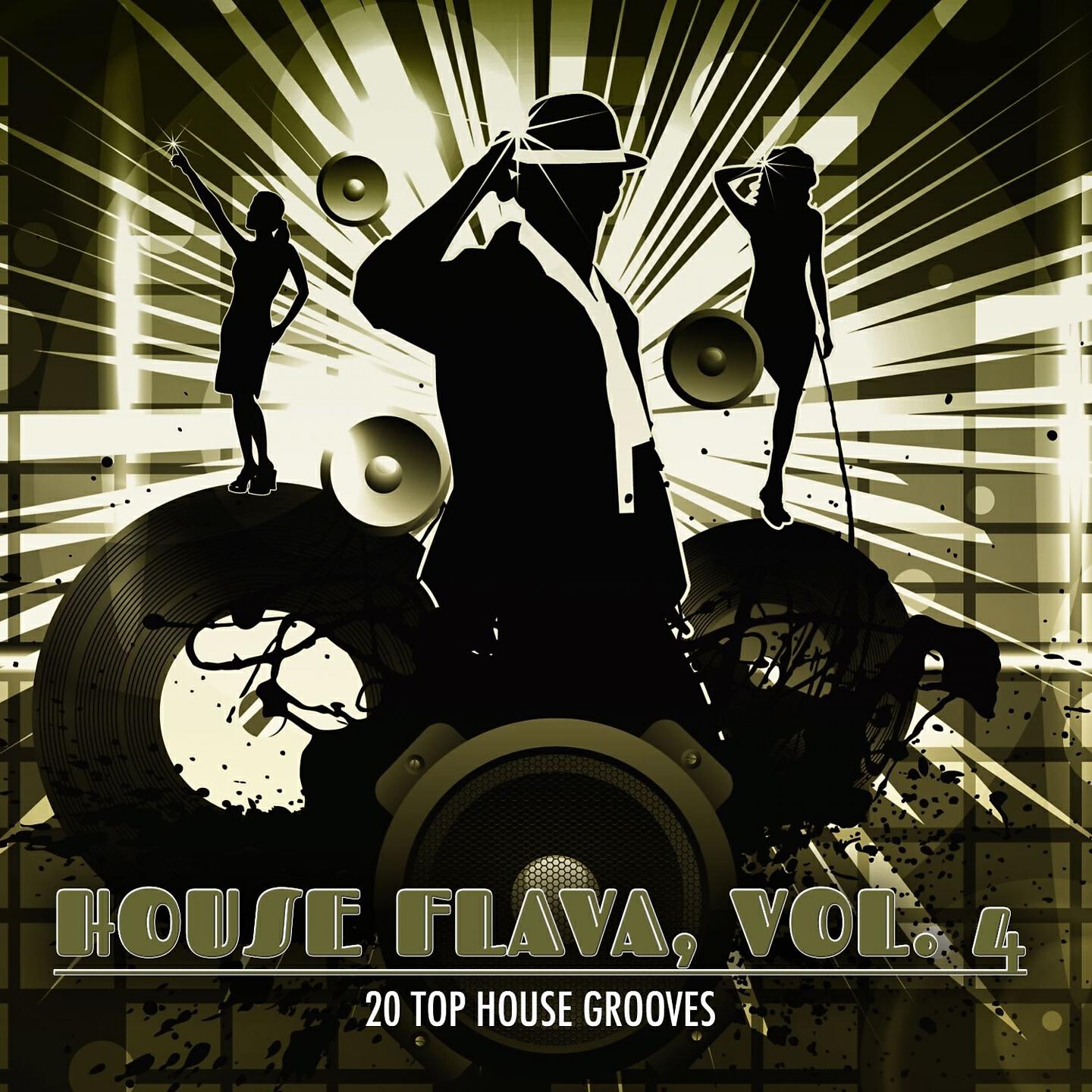 Релиз House Flava, Vol. 4