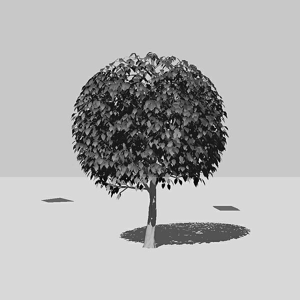Релиз Connection To