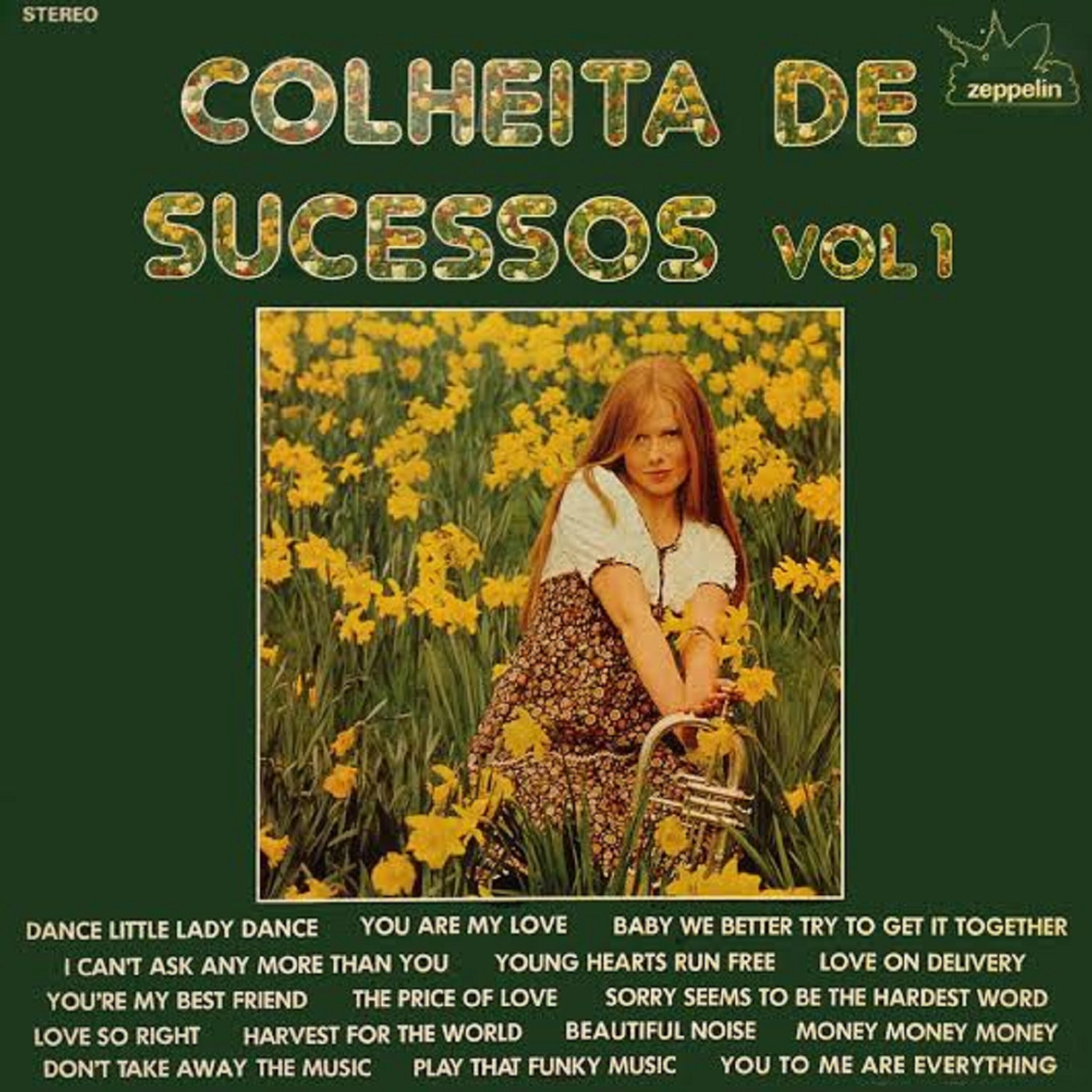 Релиз The Best of the 70s / Colheita De Sucessos: O Melhor Dos Anos 70