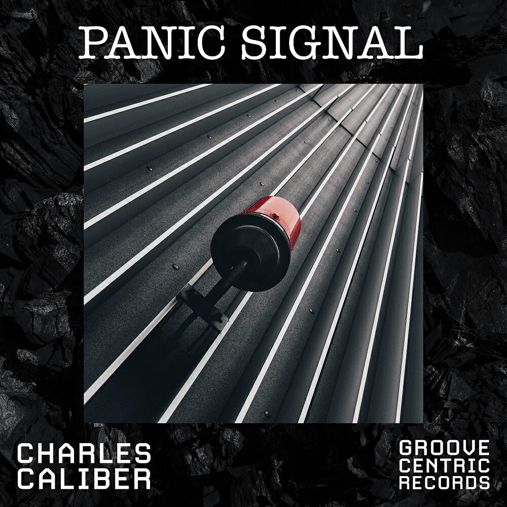Релиз Panic Signal
