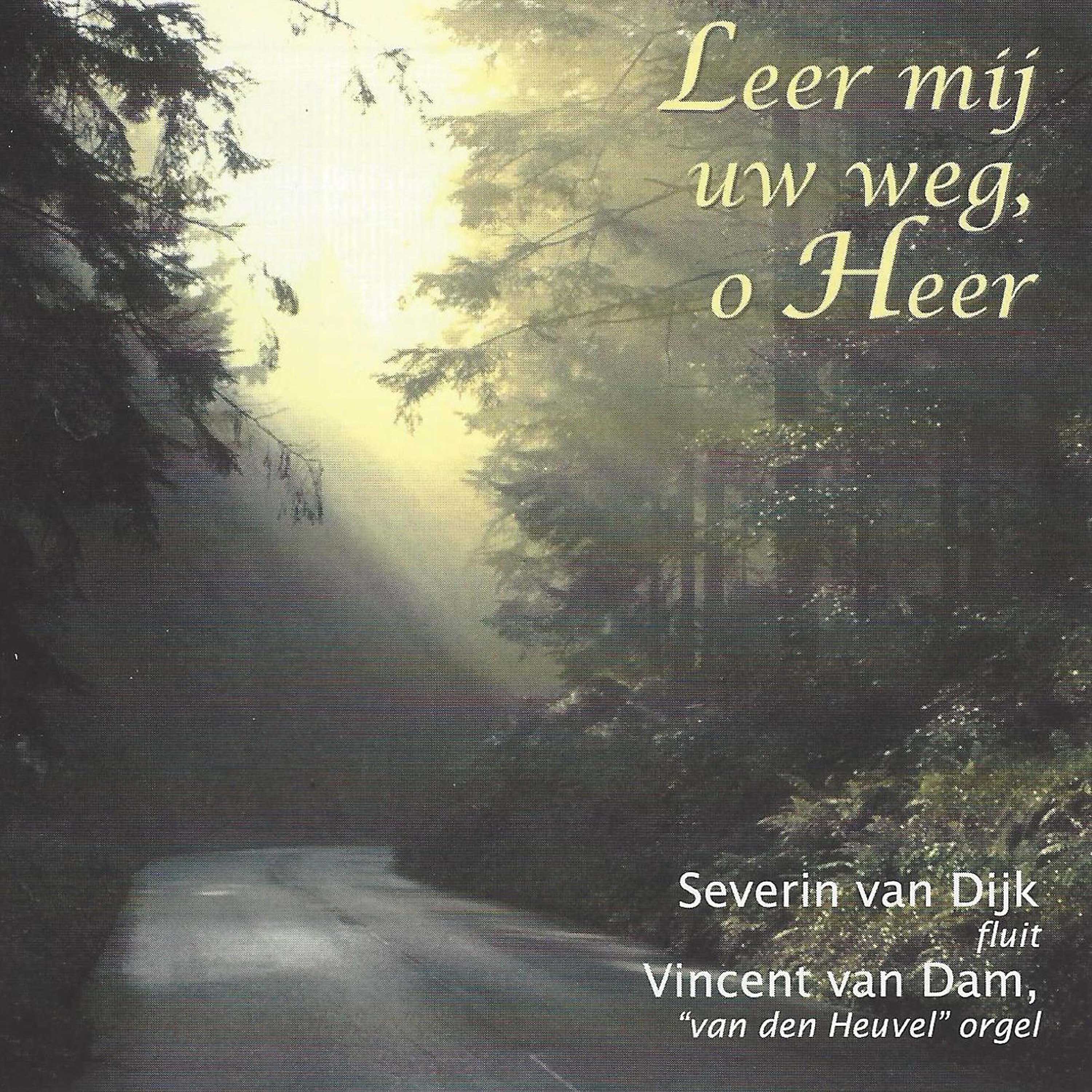 Vincent van Dam