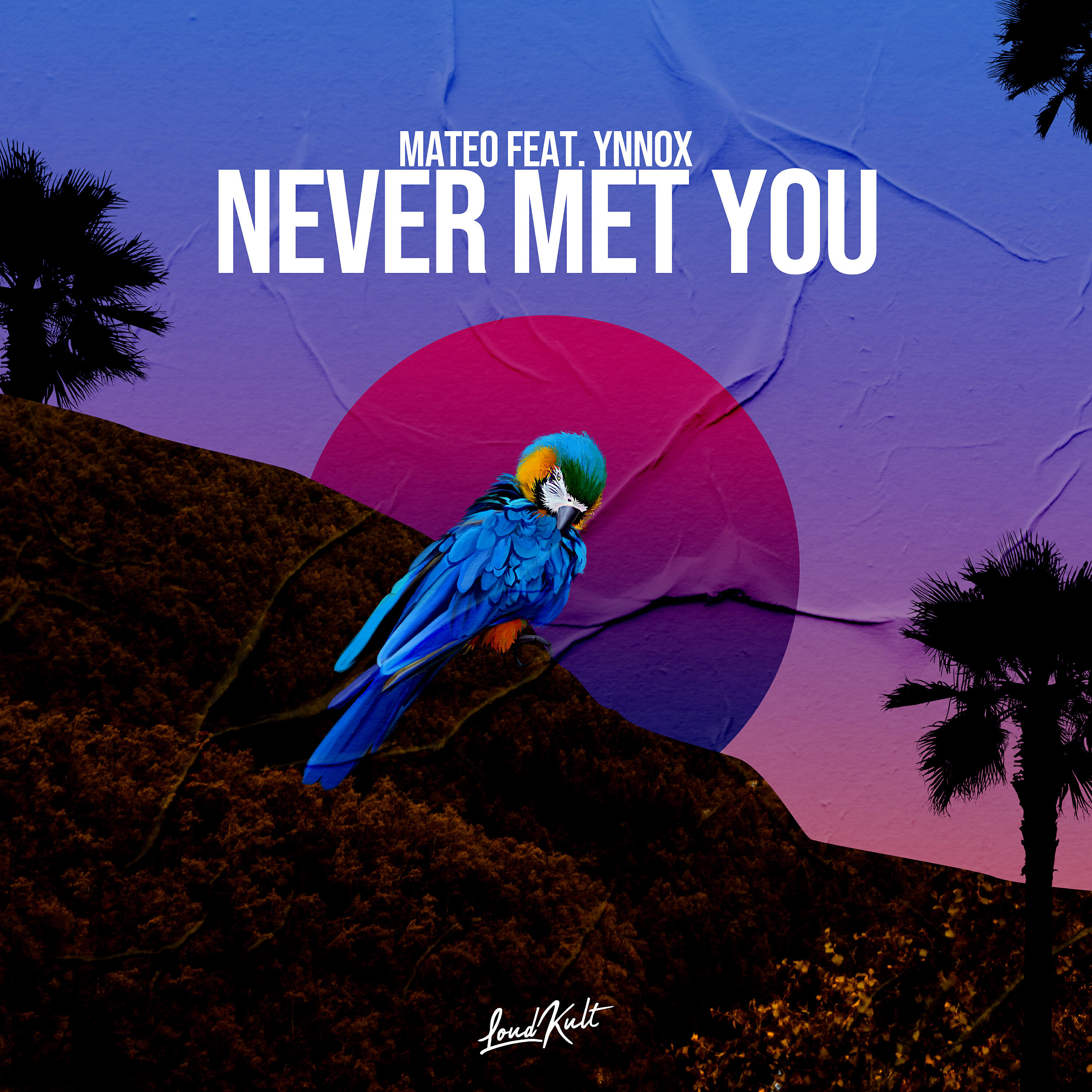 Релиз Never Met You
