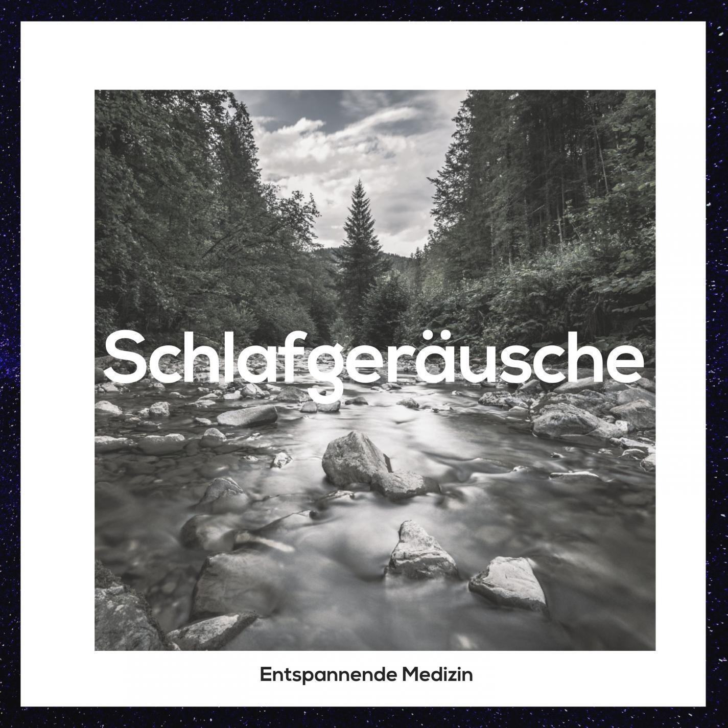Релиз Schlafgeräusche