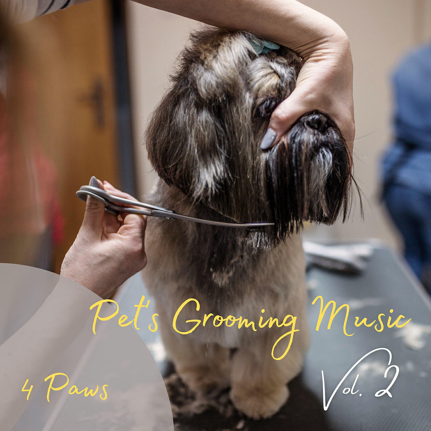 Релиз 4 Paws: Pet's Grooming Music Vol. 2