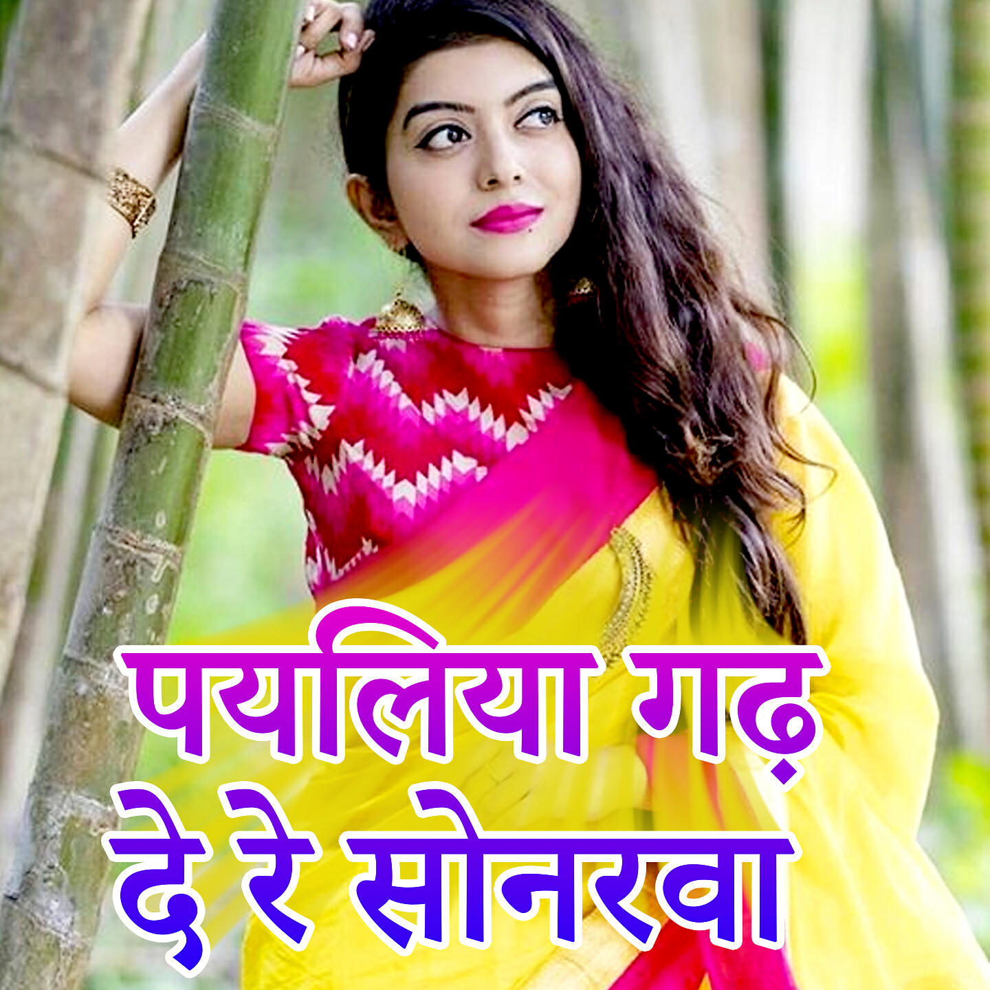 Релиз Payaliya Gadh De Re Sonarava