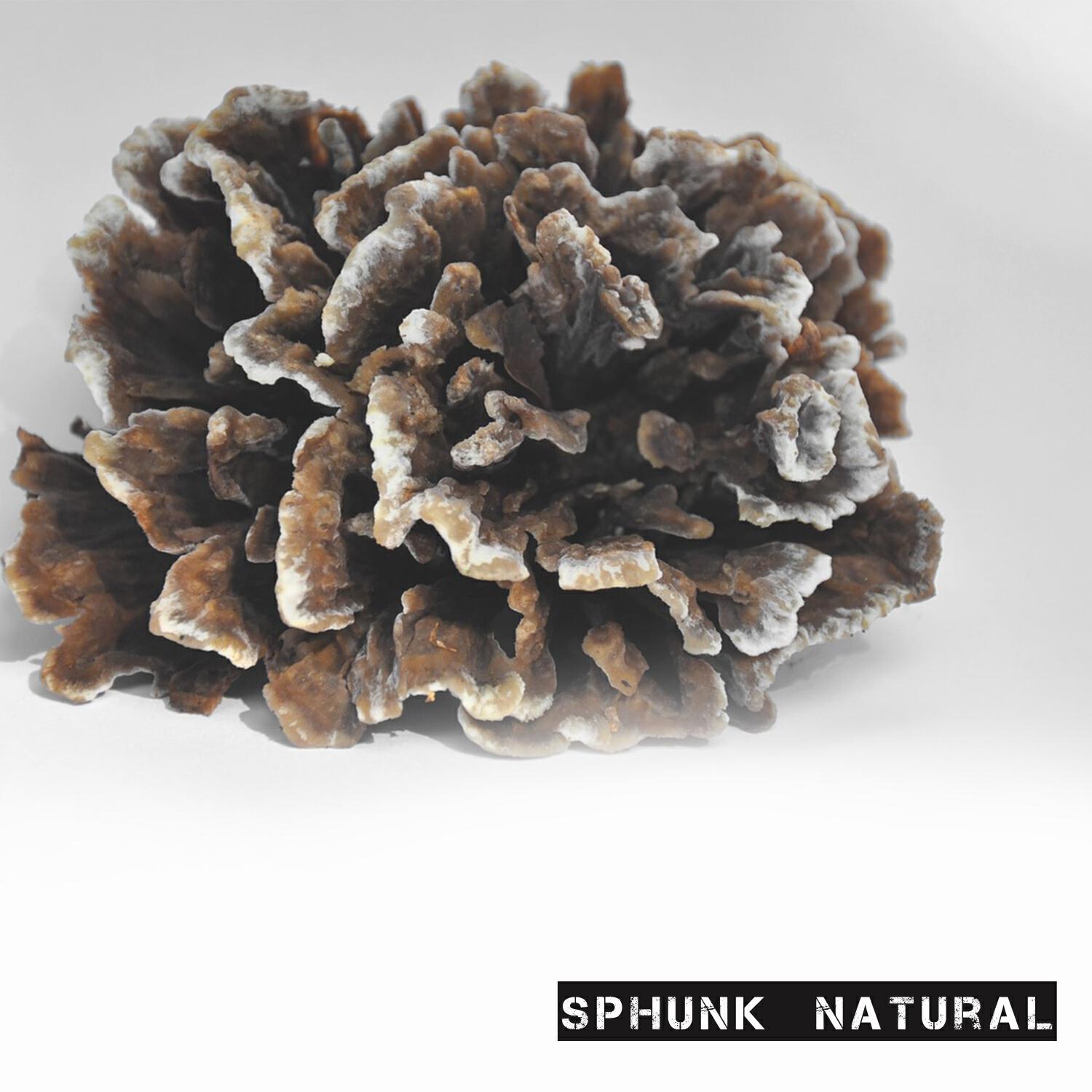 Релиз Natural